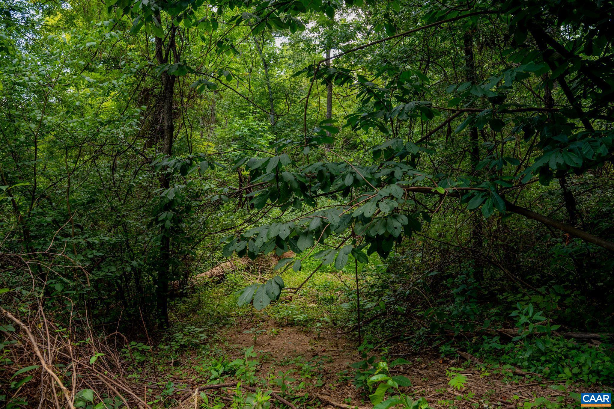 TBD N FROG HOLLOW RD, WINCHESTER, Virginia 22603, ,Farm,TBD N FROG HOLLOW RD,680385 MLS # 680385