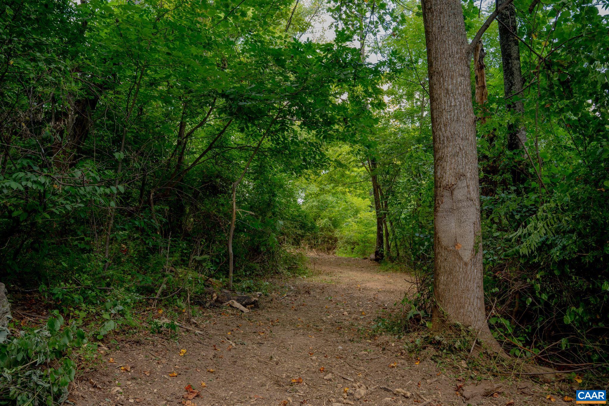 TBD N FROG HOLLOW RD, WINCHESTER, Virginia 22603, ,Farm,TBD N FROG HOLLOW RD,680385 MLS # 680385