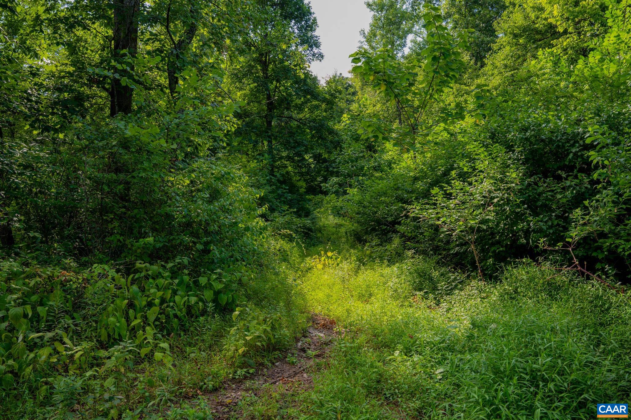 TBD N FROG HOLLOW RD, WINCHESTER, Virginia 22603, ,Farm,TBD N FROG HOLLOW RD,680385 MLS # 680385