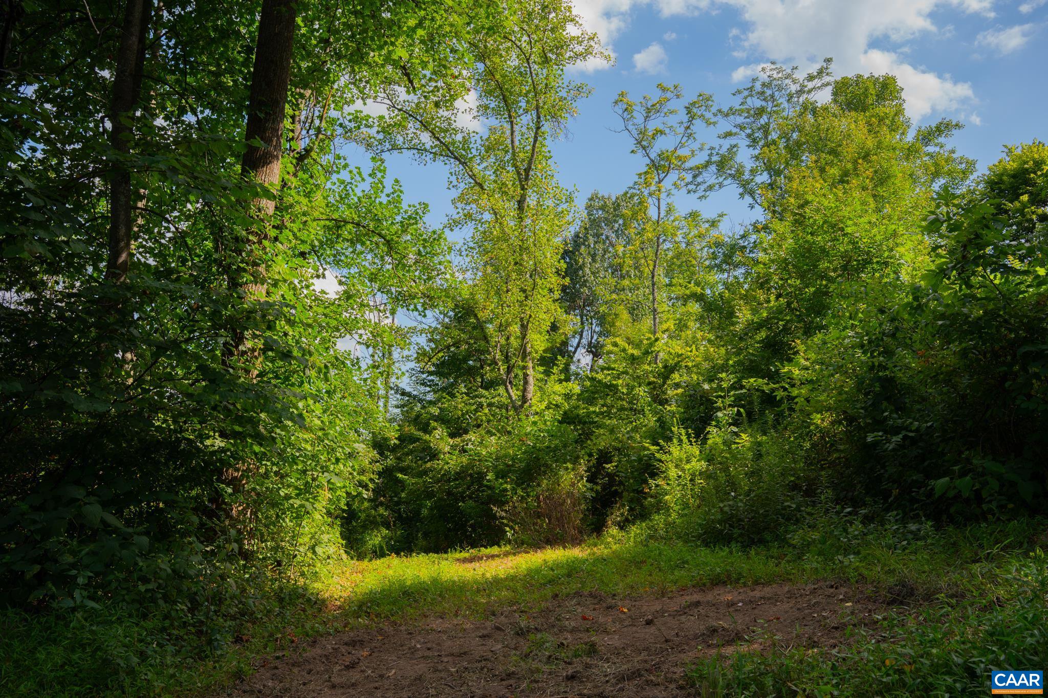 TBD N FROG HOLLOW RD, WINCHESTER, Virginia 22603, ,Farm,TBD N FROG HOLLOW RD,680385 MLS # 680385