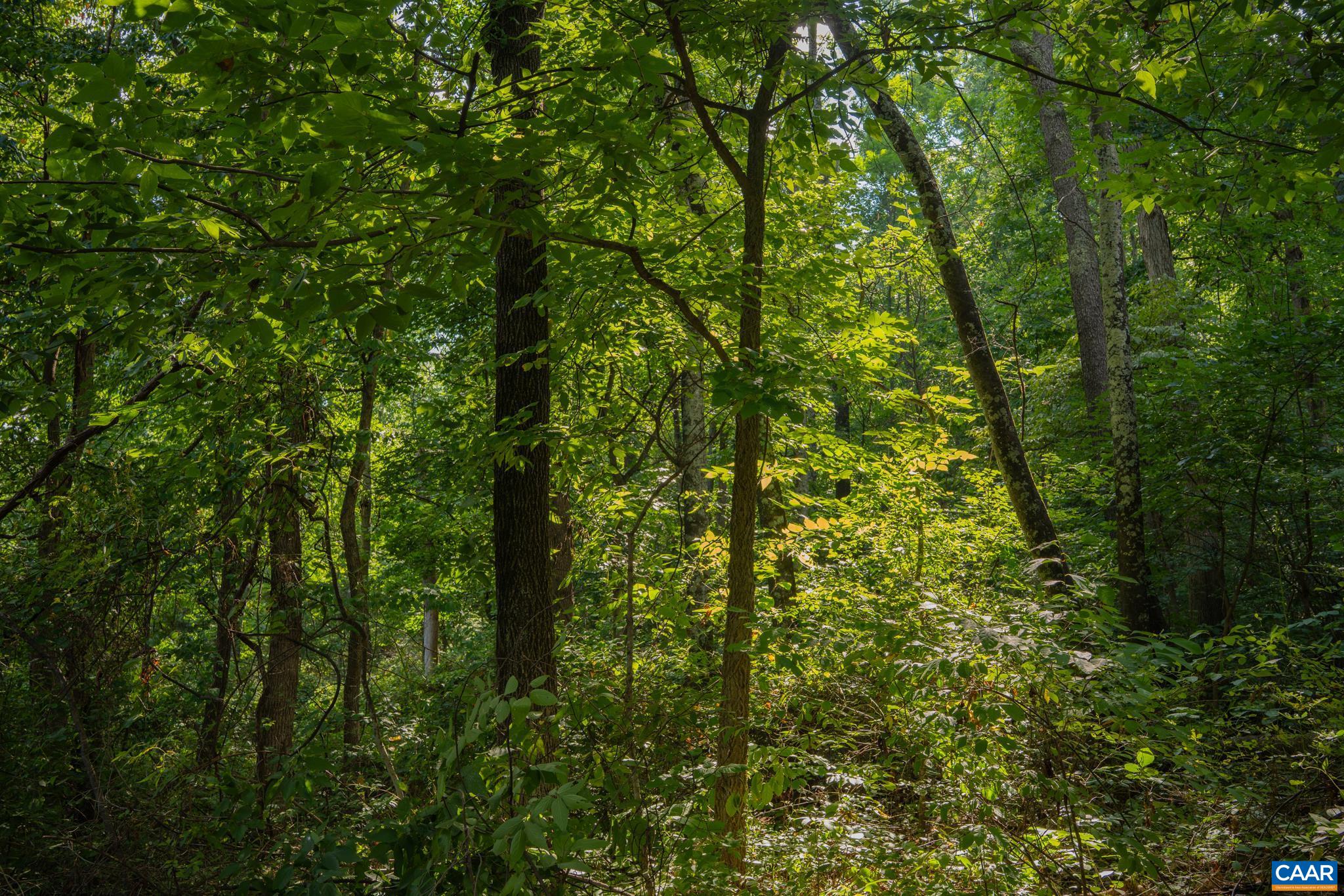 TBD N FROG HOLLOW RD, WINCHESTER, Virginia 22603, ,Farm,TBD N FROG HOLLOW RD,680385 MLS # 680385