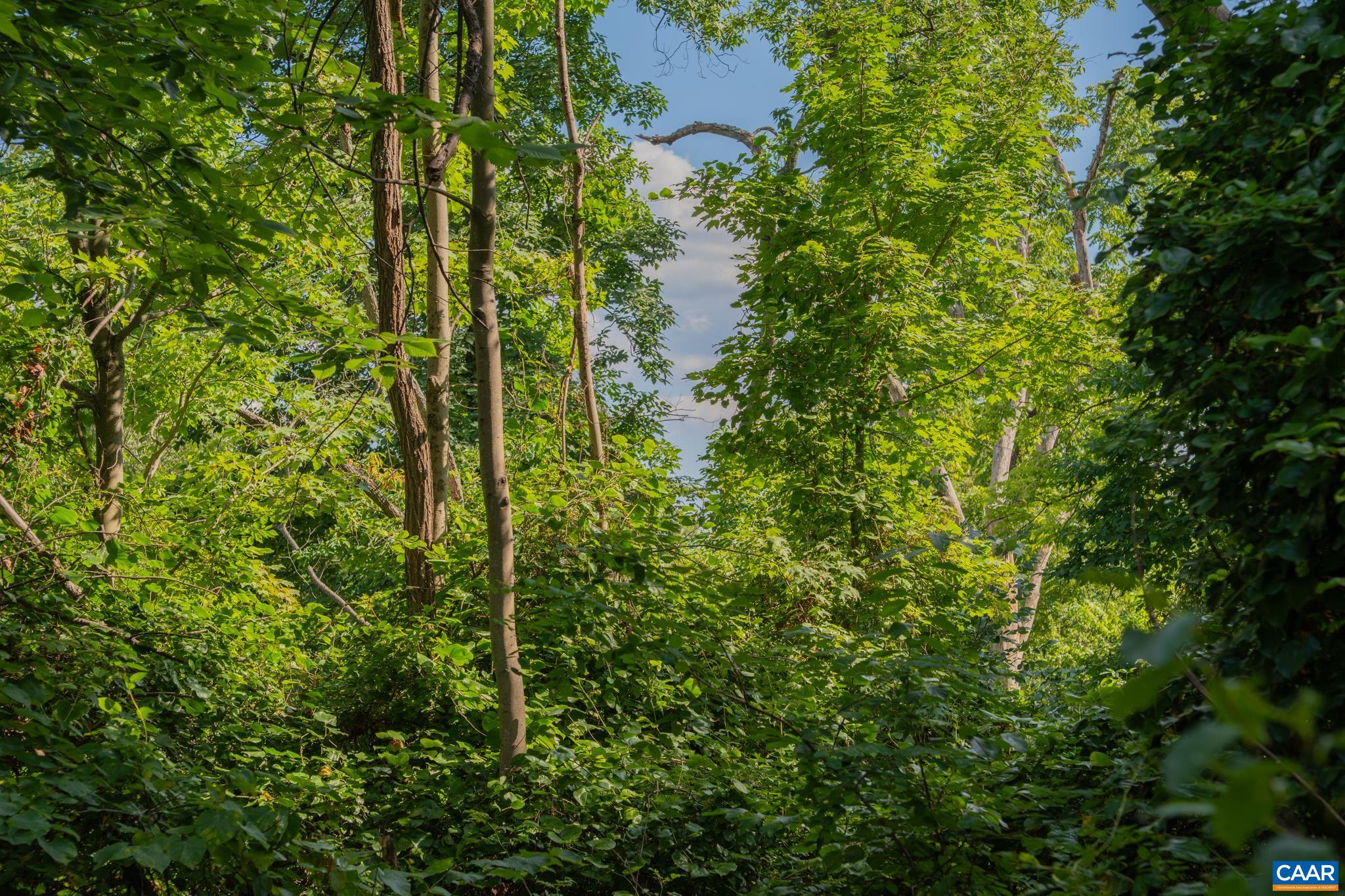 TBD N FROG HOLLOW RD, WINCHESTER, Virginia 22603, ,Farm,TBD N FROG HOLLOW RD,680385 MLS # 680385