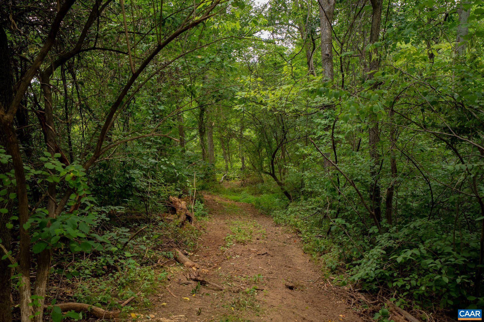 TBD N FROG HOLLOW RD, WINCHESTER, Virginia 22603, ,Farm,TBD N FROG HOLLOW RD,680385 MLS # 680385
