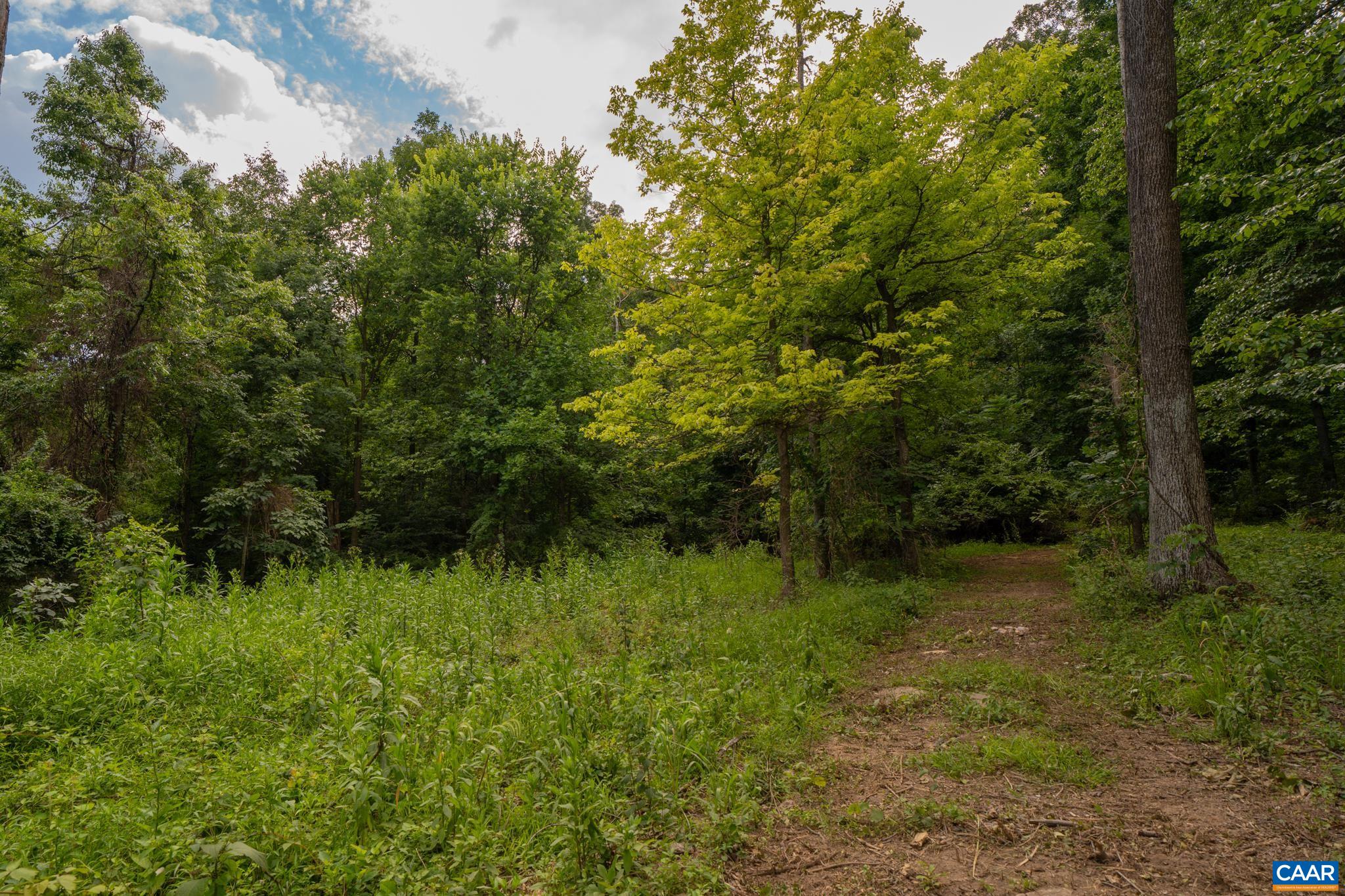 TBD N FROG HOLLOW RD, WINCHESTER, Virginia 22603, ,Farm,TBD N FROG HOLLOW RD,680385 MLS # 680385