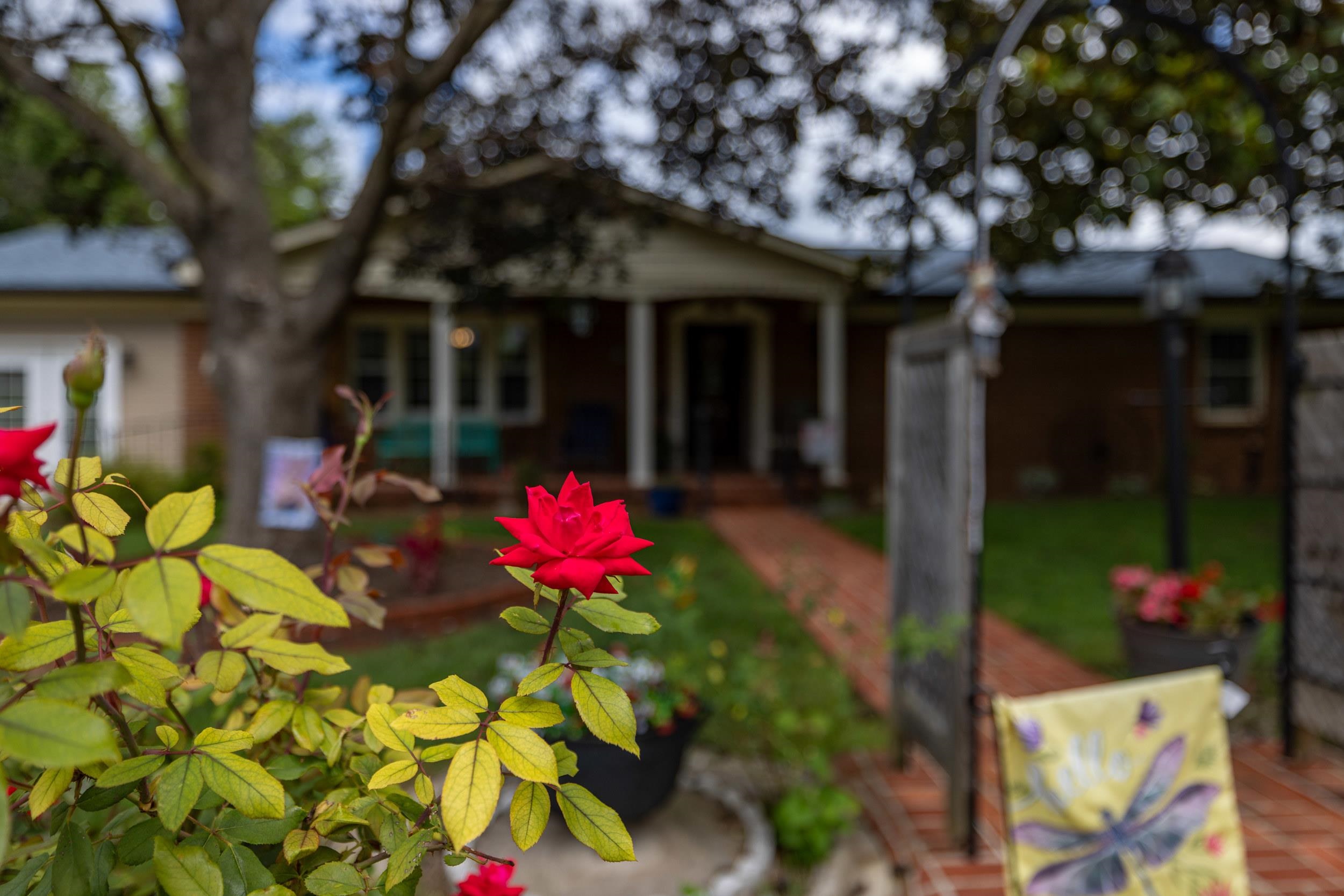 702 RITCHIE BLVD, STAUNTON, Virginia 24401, 5 Bedrooms Bedrooms, ,3 BathroomsBathrooms,Residential,702 RITCHIE BLVD,680381 MLS # 680381 702 RITCHIE BLVD, STAUNTON, Virginia 24401, 5 Bedrooms Bedrooms, ,3 BathroomsBathrooms,Residential,702 RITCHIE BLVD,680381 MLS # 680381
