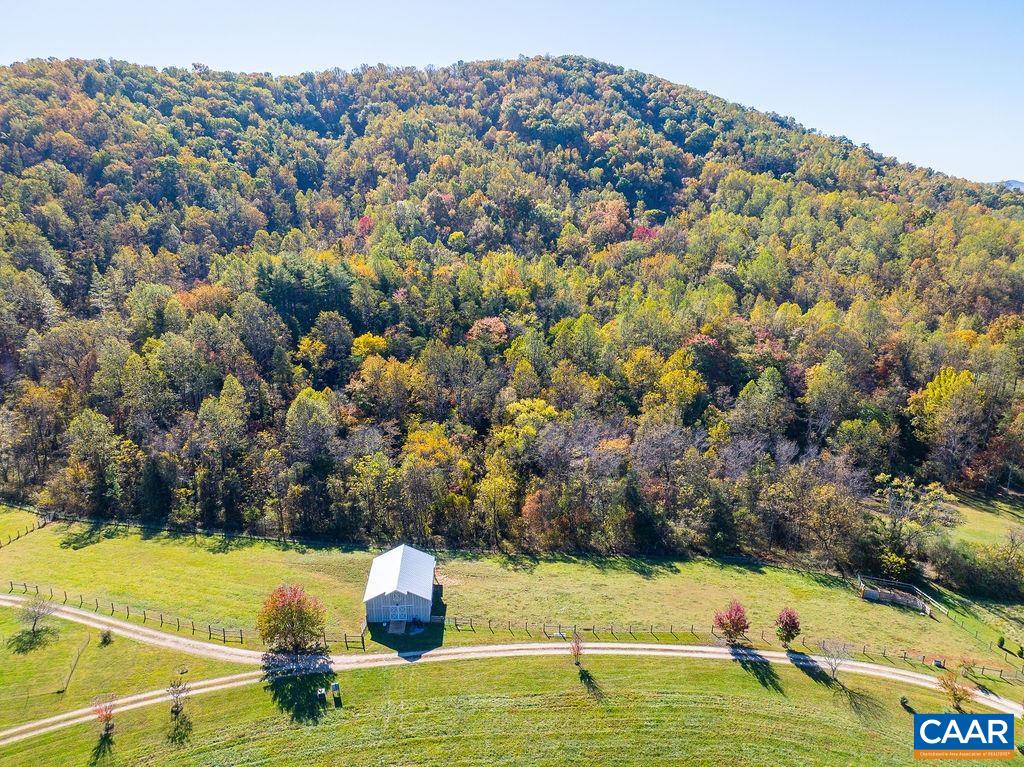 10808 PATRICK HENRY HWY, ROSELAND, Virginia 22967, ,Land,10808 PATRICK HENRY HWY,680399 MLS # 680399 10808 PATRICK HENRY HWY, ROSELAND, Virginia 22967, ,Land,10808 PATRICK HENRY HWY,680399 MLS # 680399