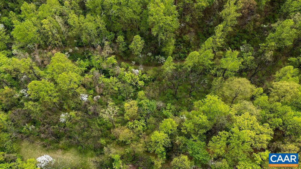 10808 PATRICK HENRY HWY, ROSELAND, Virginia 22967, ,Land,10808 PATRICK HENRY HWY,680399 MLS # 680399 10808 PATRICK HENRY HWY, ROSELAND, Virginia 22967, ,Land,10808 PATRICK HENRY HWY,680399 MLS # 680399