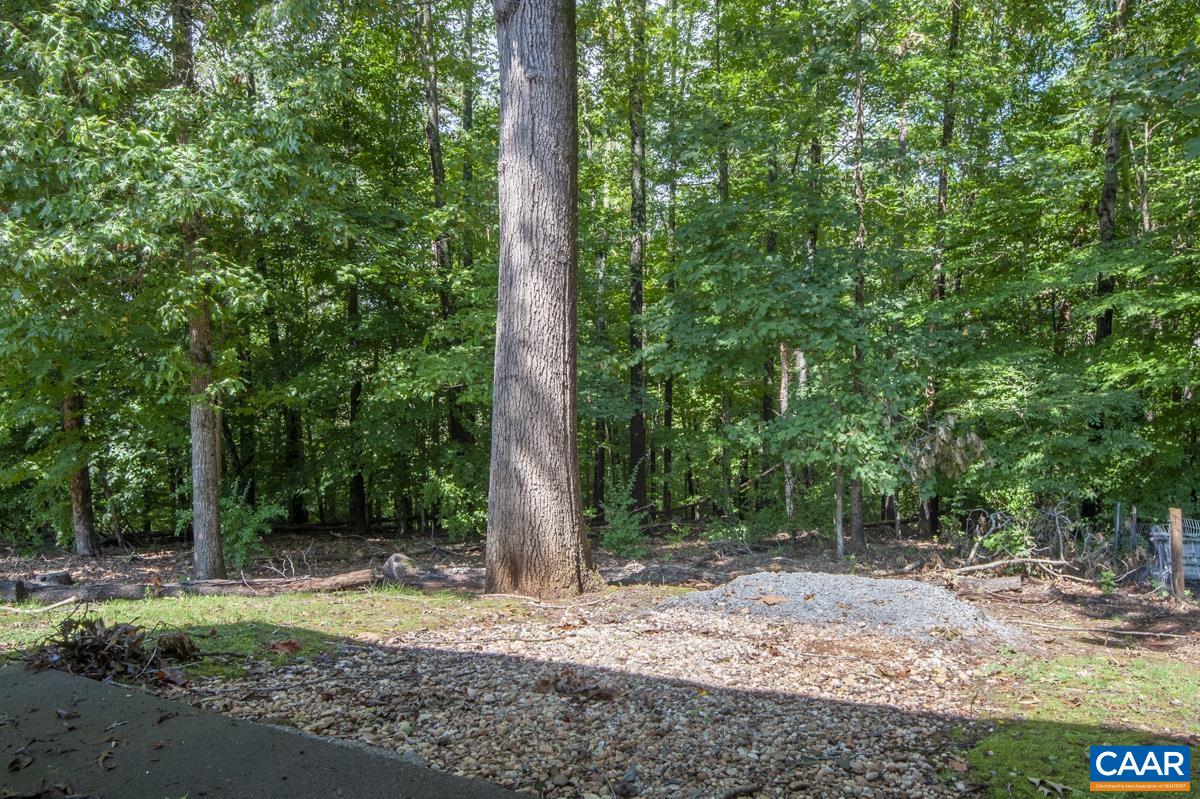 141 QUINCE LN, CHARLOTTESVILLE, Virginia 22902, 3 Bedrooms Bedrooms, ,1 BathroomBathrooms,Residential,141 QUINCE LN,680387 MLS # 680387 141 QUINCE LN, CHARLOTTESVILLE, Virginia 22902, 3 Bedrooms Bedrooms, ,1 BathroomBathrooms,Residential,141 QUINCE LN,680387 MLS # 680387