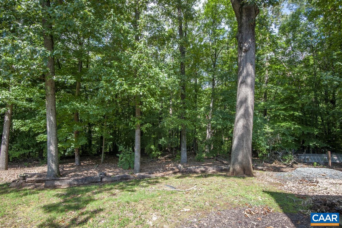 141 QUINCE LN, CHARLOTTESVILLE, Virginia 22902, 3 Bedrooms Bedrooms, ,1 BathroomBathrooms,Residential,141 QUINCE LN,680387 MLS # 680387 141 QUINCE LN, CHARLOTTESVILLE, Virginia 22902, 3 Bedrooms Bedrooms, ,1 BathroomBathrooms,Residential,141 QUINCE LN,680387 MLS # 680387