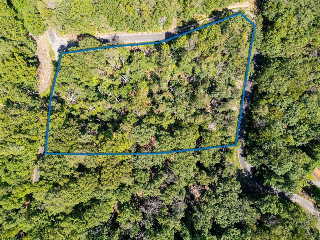 0 PANORAMA VIEW DR, STANLEY, Virginia 22851, ,Land,0 PANORAMA VIEW DR,680427 MLS # 680427 0 PANORAMA VIEW DR, STANLEY, Virginia 22851, ,Land,0 PANORAMA VIEW DR,680427 MLS # 680427