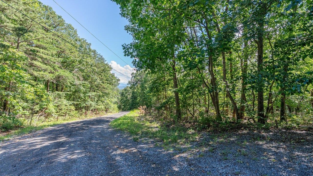 0 PANORAMA VIEW DR, STANLEY, Virginia 22851, ,Land,0 PANORAMA VIEW DR,680427 MLS # 680427 0 PANORAMA VIEW DR, STANLEY, Virginia 22851, ,Land,0 PANORAMA VIEW DR,680427 MLS # 680427