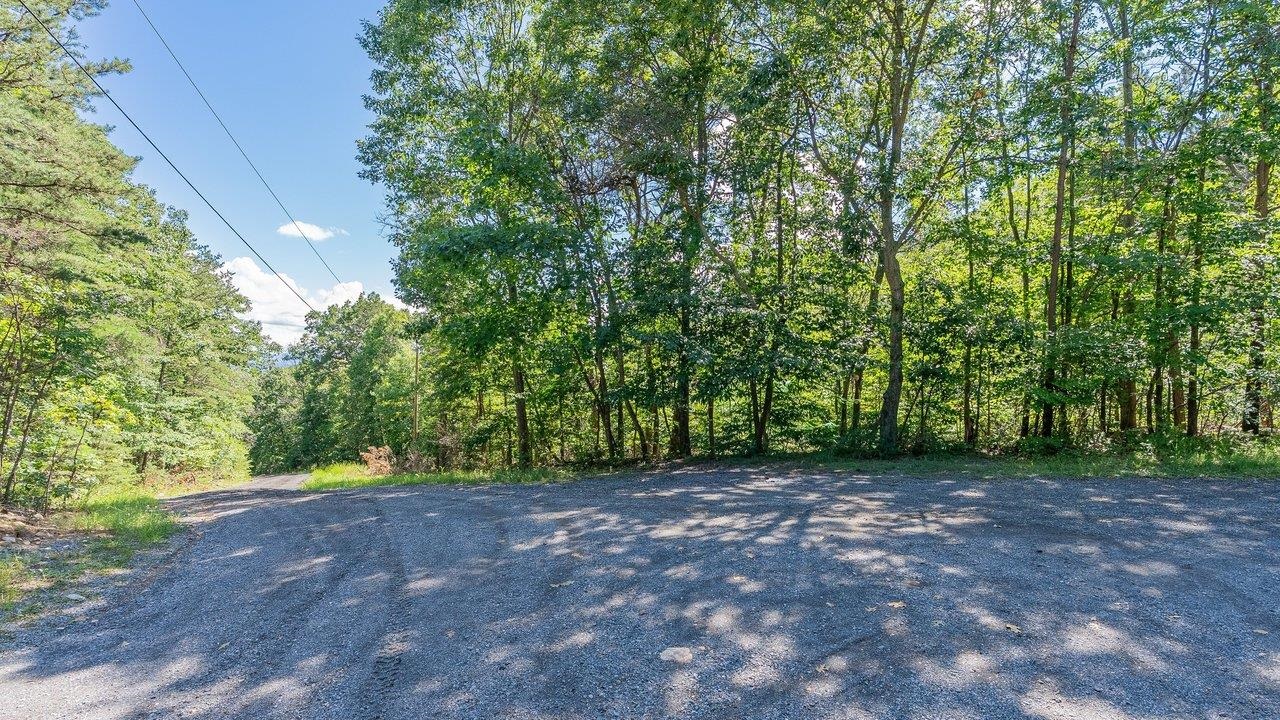 0 PANORAMA VIEW DR, STANLEY, Virginia 22851, ,Land,0 PANORAMA VIEW DR,680427 MLS # 680427 0 PANORAMA VIEW DR, STANLEY, Virginia 22851, ,Land,0 PANORAMA VIEW DR,680427 MLS # 680427