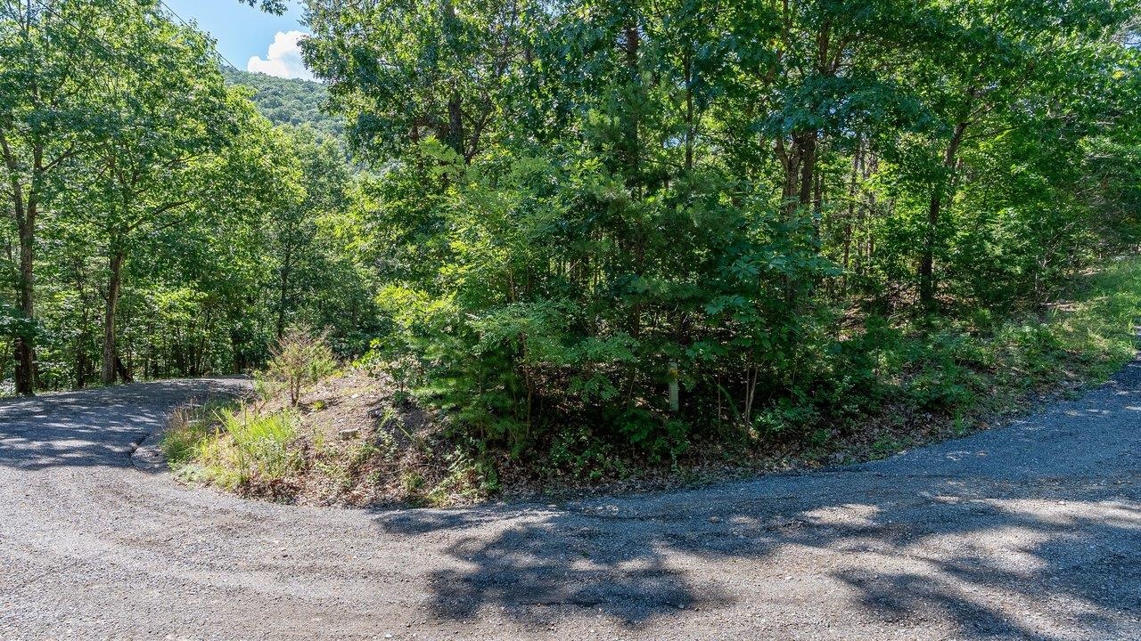 0 PANORAMA VIEW DR, STANLEY, Virginia 22851, ,Land,0 PANORAMA VIEW DR,680427 MLS # 680427 0 PANORAMA VIEW DR, STANLEY, Virginia 22851, ,Land,0 PANORAMA VIEW DR,680427 MLS # 680427