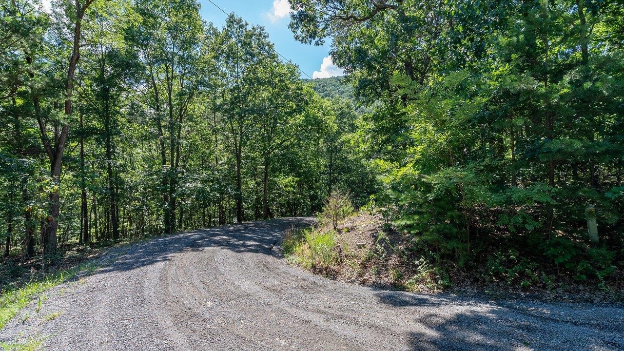 0 PANORAMA VIEW DR, STANLEY, Virginia 22851, ,Land,0 PANORAMA VIEW DR,680427 MLS # 680427 0 PANORAMA VIEW DR, STANLEY, Virginia 22851, ,Land,0 PANORAMA VIEW DR,680427 MLS # 680427