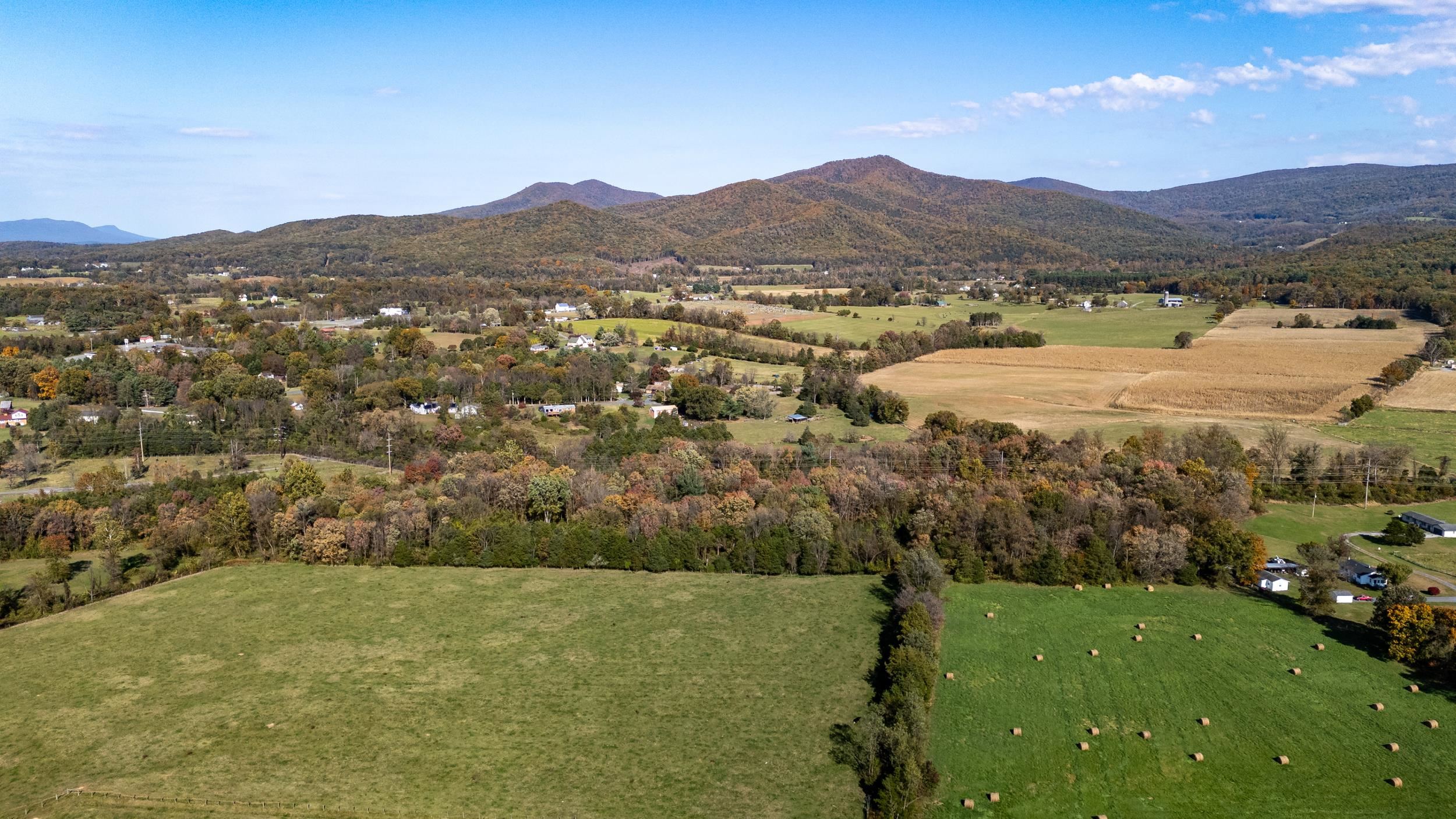 Off DRY RUN RD, LURAY, Virginia 22835, ,Land,Off DRY RUN RD,680428 MLS # 680428