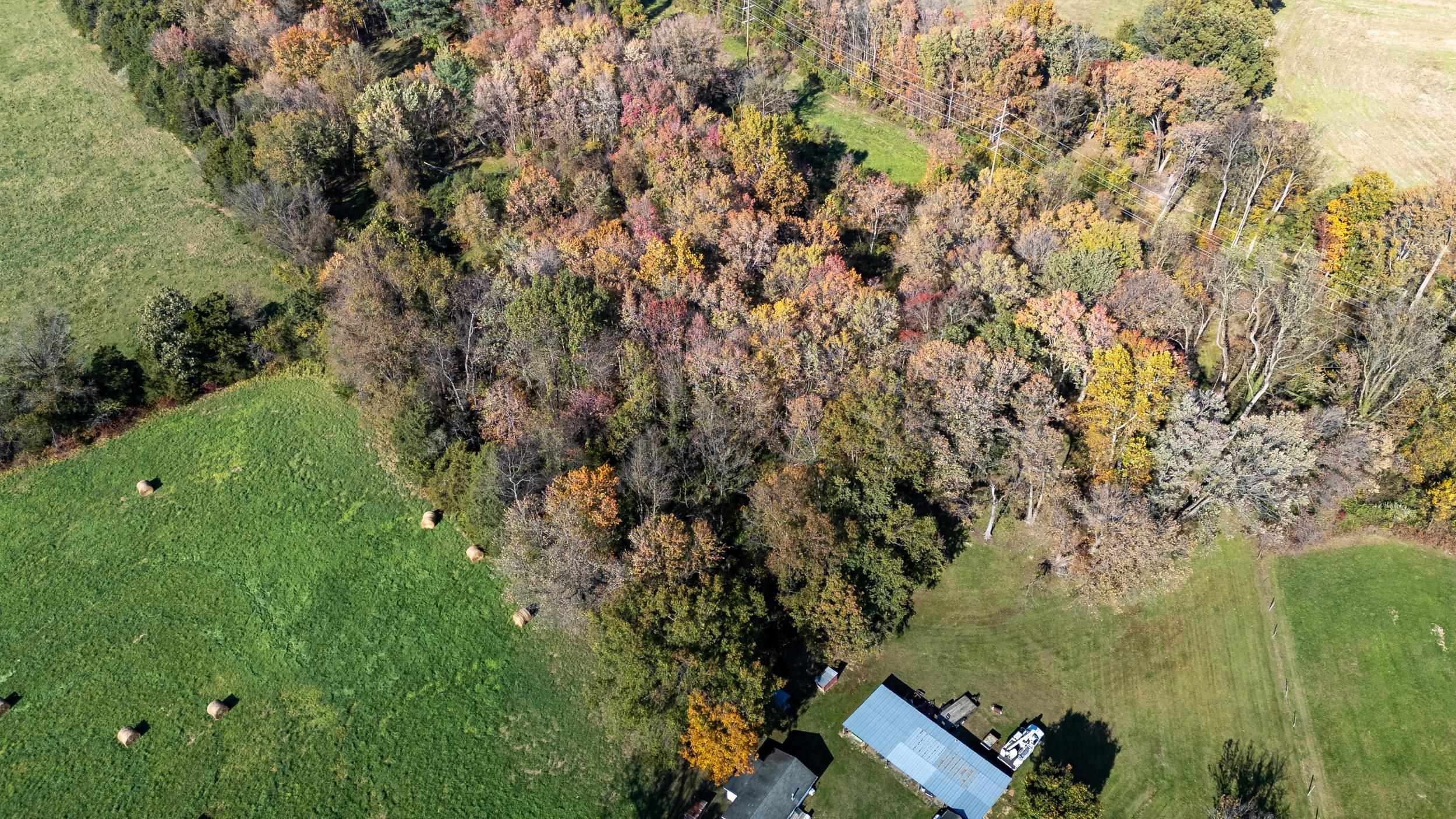 Off DRY RUN RD, LURAY, Virginia 22835, ,Land,Off DRY RUN RD,680428 MLS # 680428
