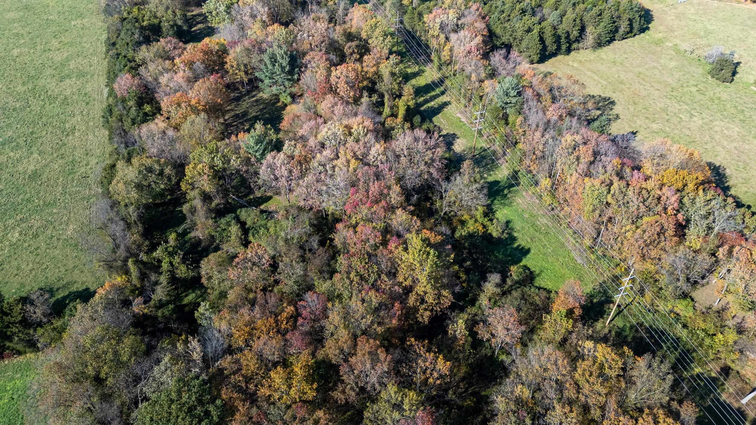Off DRY RUN RD, LURAY, Virginia 22835, ,Land,Off DRY RUN RD,680428 MLS # 680428