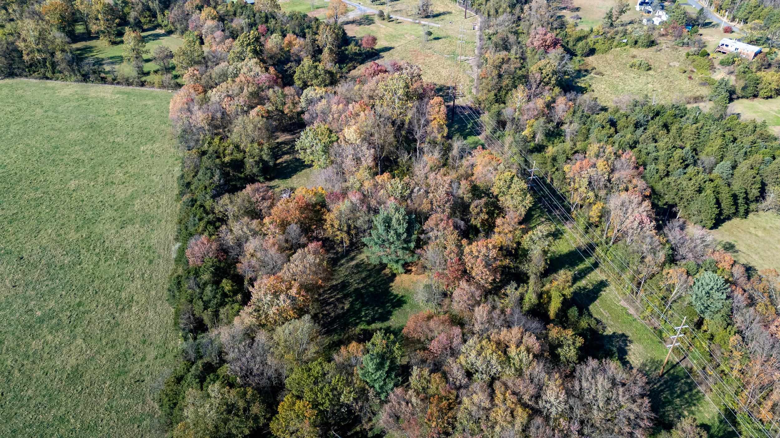 Off DRY RUN RD, LURAY, Virginia 22835, ,Land,Off DRY RUN RD,680428 MLS # 680428