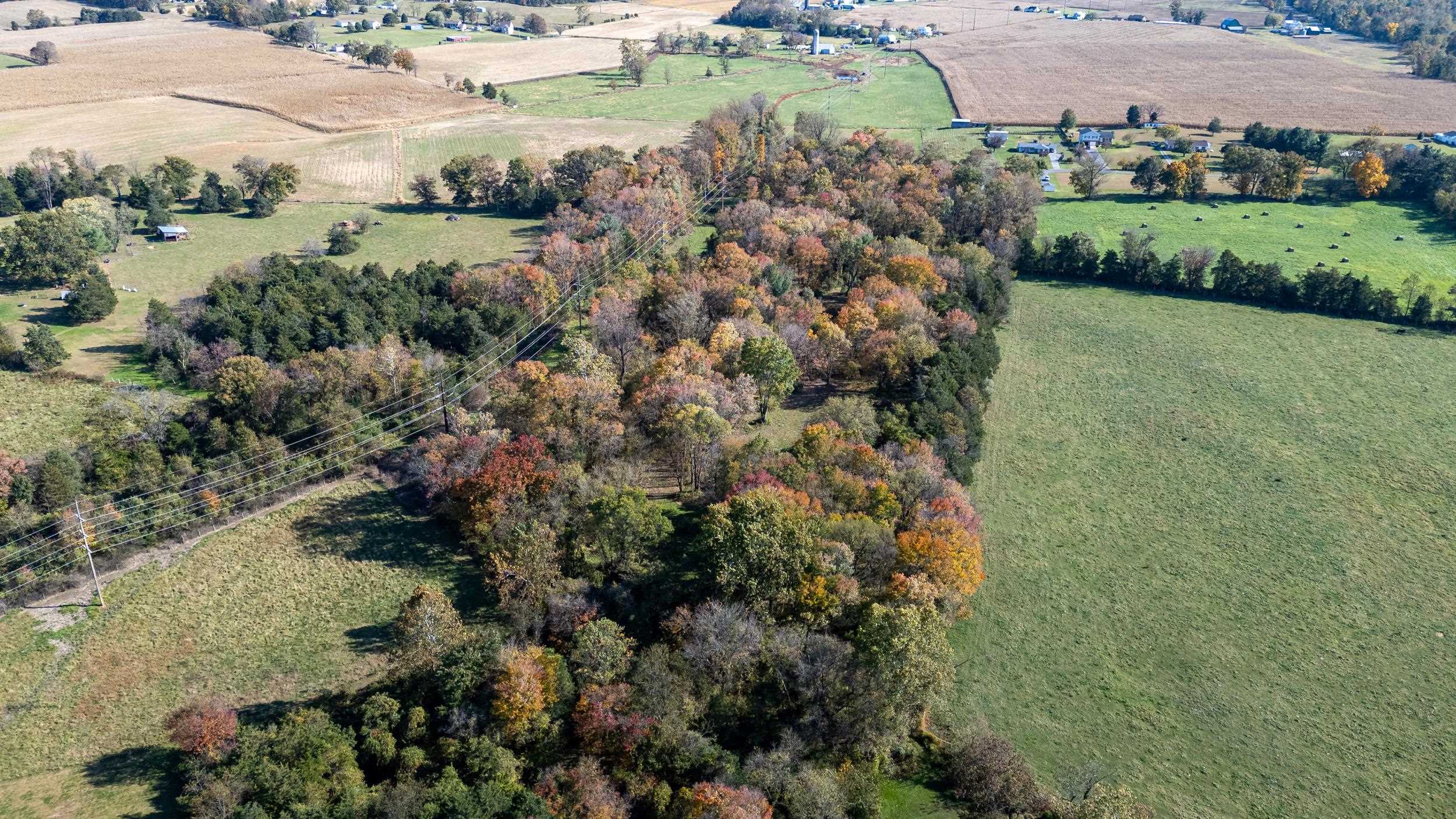 Off DRY RUN RD, LURAY, Virginia 22835, ,Land,Off DRY RUN RD,680428 MLS # 680428