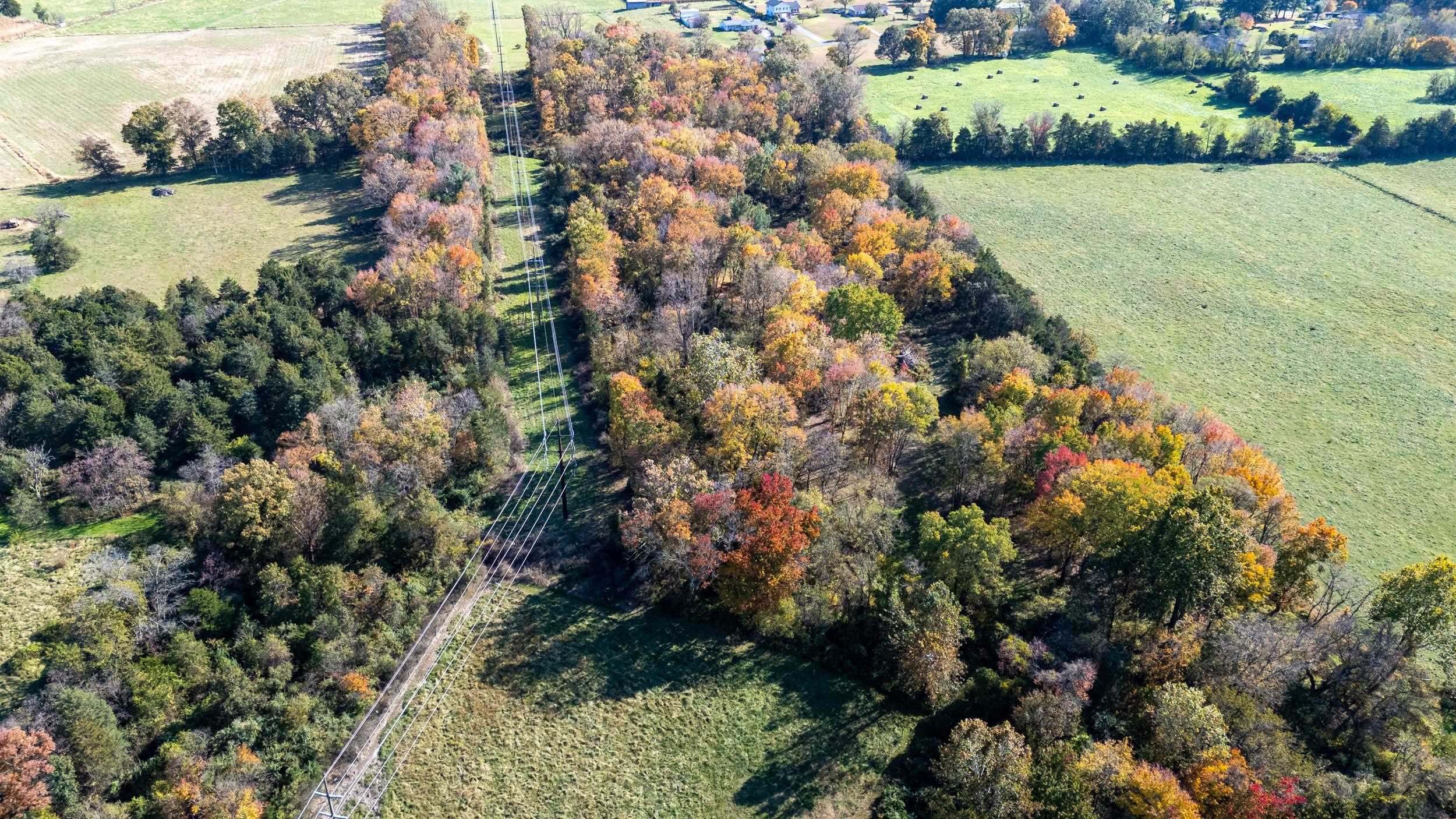 Off DRY RUN RD, LURAY, Virginia 22835, ,Land,Off DRY RUN RD,680428 MLS # 680428