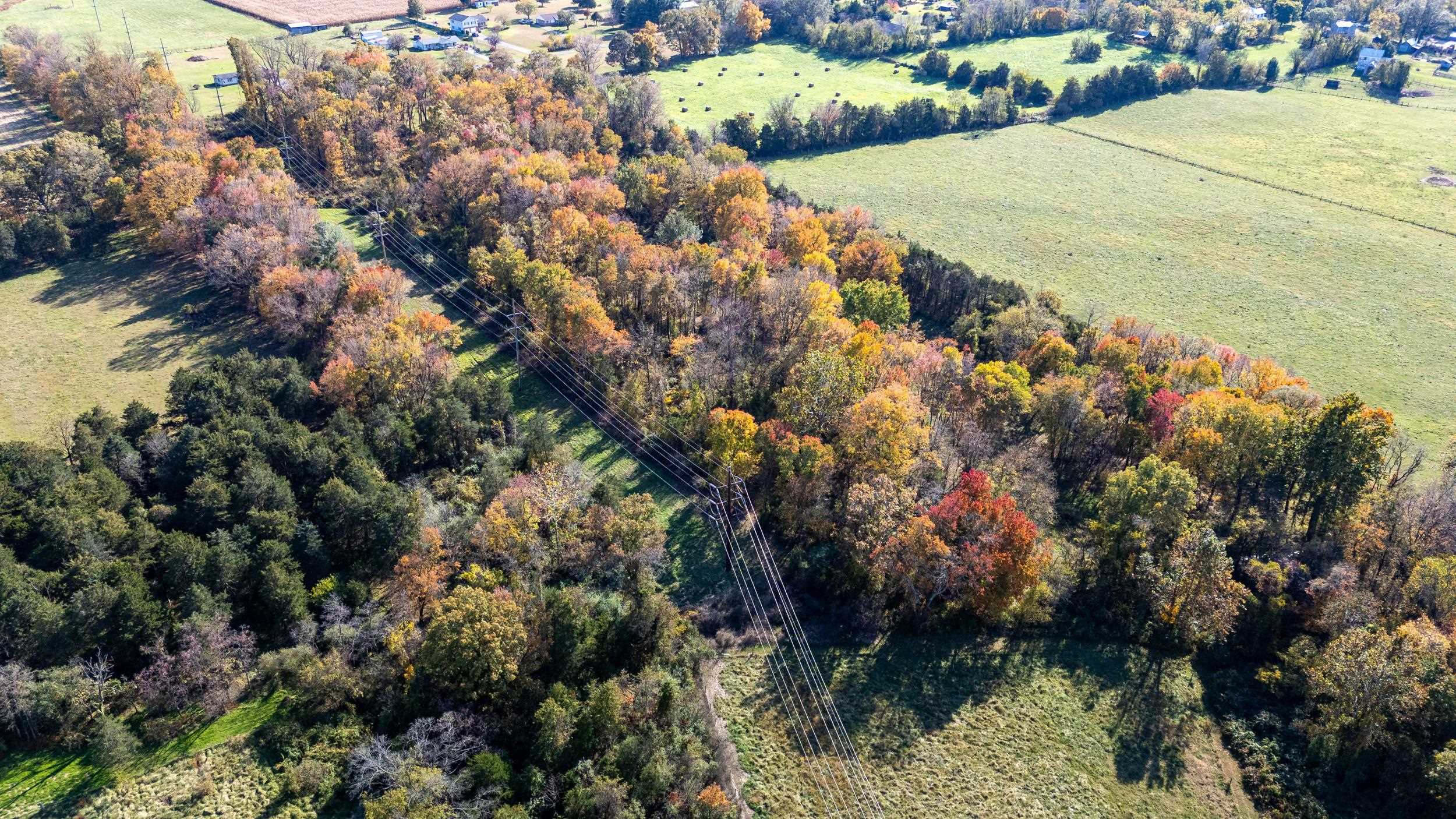 Off DRY RUN RD, LURAY, Virginia 22835, ,Land,Off DRY RUN RD,680428 MLS # 680428