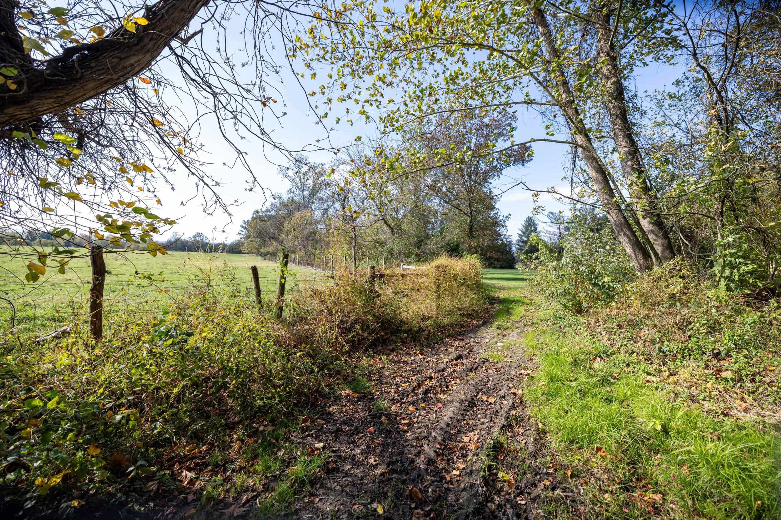 Off DRY RUN RD, LURAY, Virginia 22835, ,Land,Off DRY RUN RD,680428 MLS # 680428