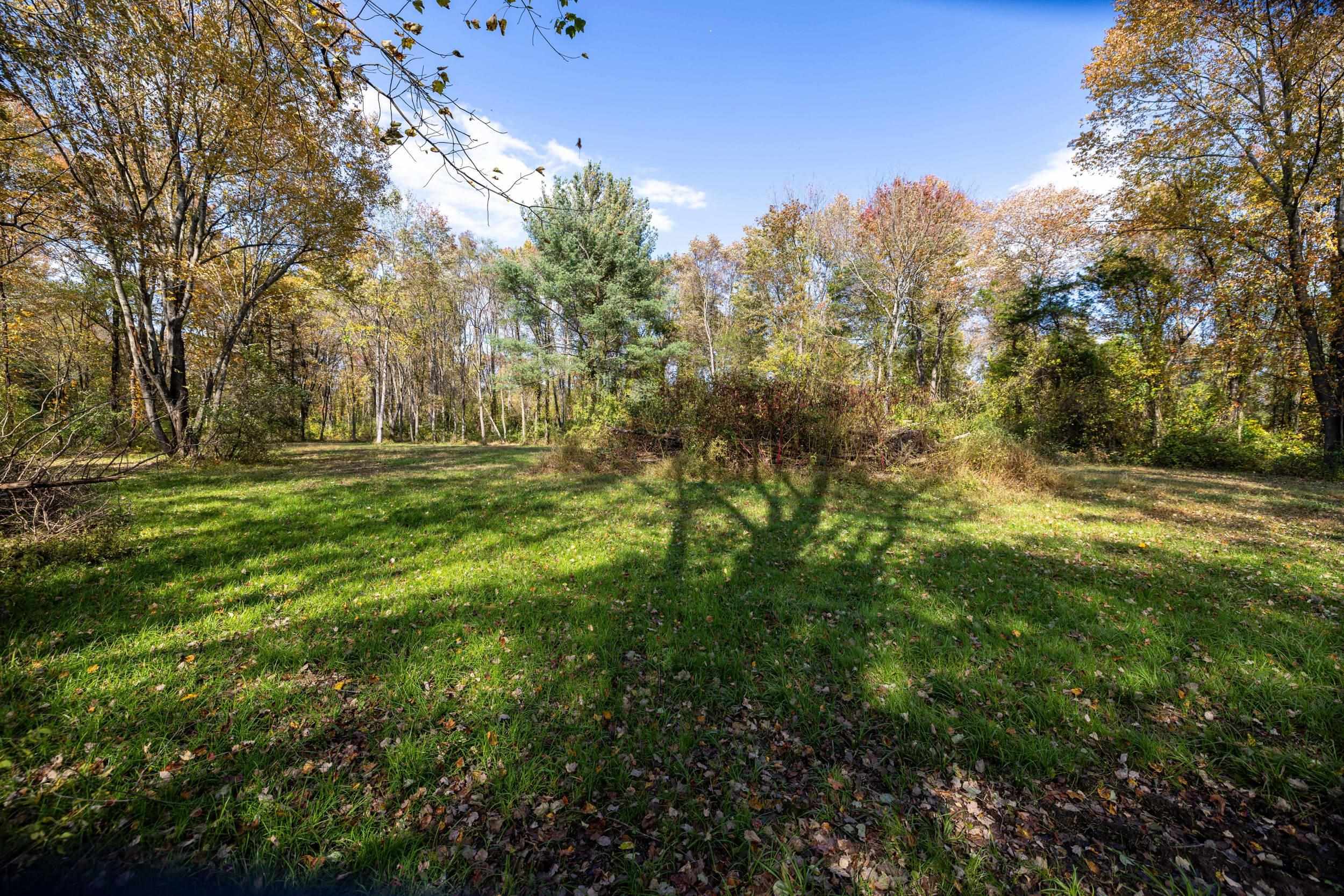 Off DRY RUN RD, LURAY, Virginia 22835, ,Land,Off DRY RUN RD,680428 MLS # 680428