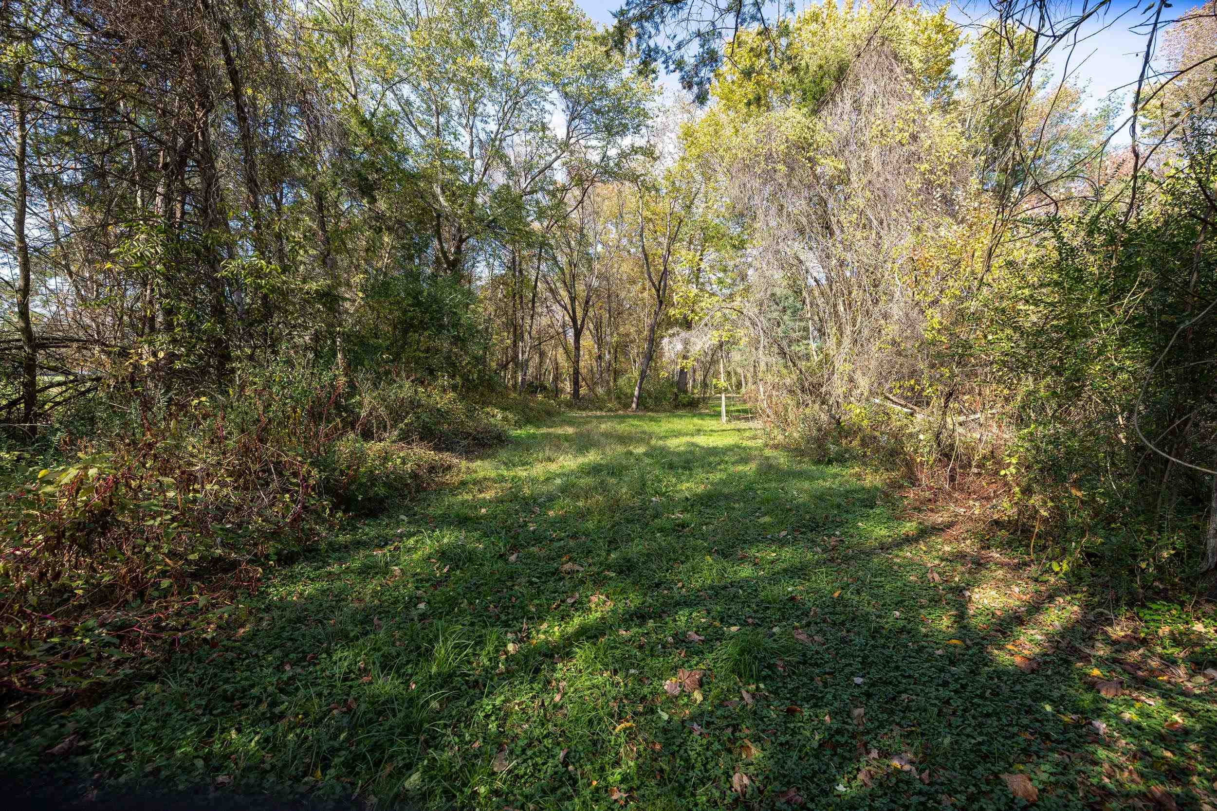Off DRY RUN RD, LURAY, Virginia 22835, ,Land,Off DRY RUN RD,680428 MLS # 680428