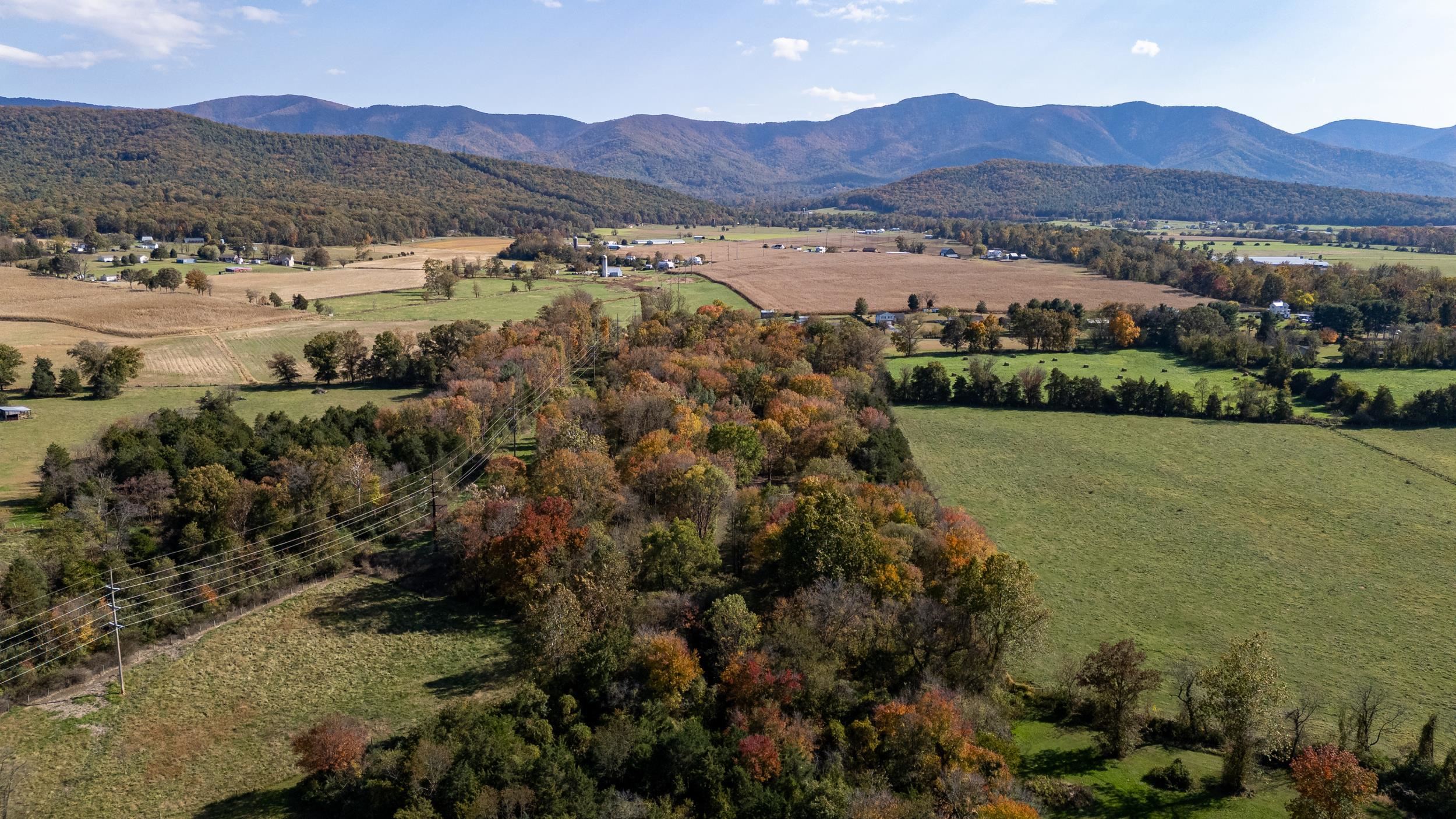 Off DRY RUN RD, LURAY, Virginia 22835, ,Land,Off DRY RUN RD,680428 MLS # 680428