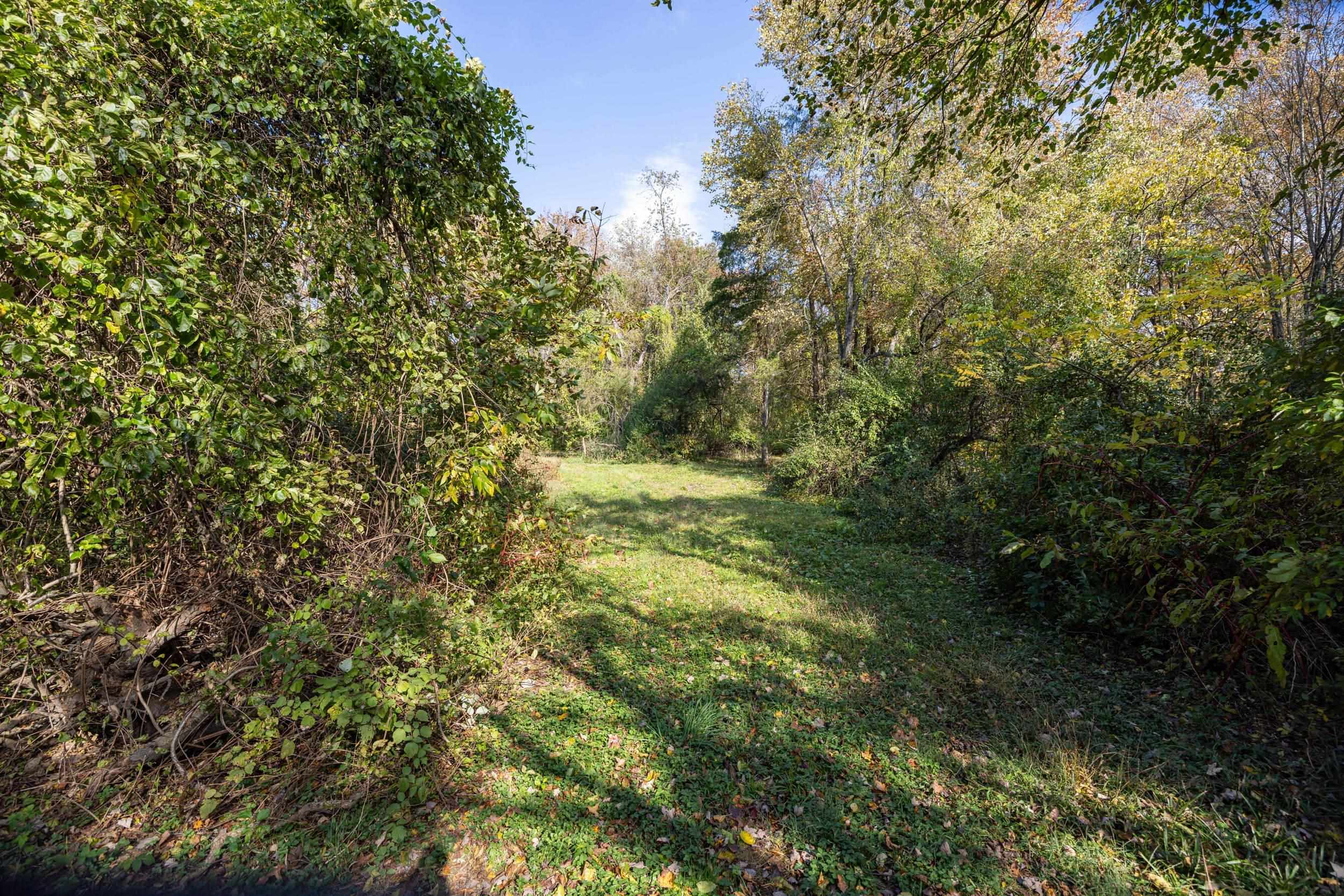 Off DRY RUN RD, LURAY, Virginia 22835, ,Land,Off DRY RUN RD,680428 MLS # 680428