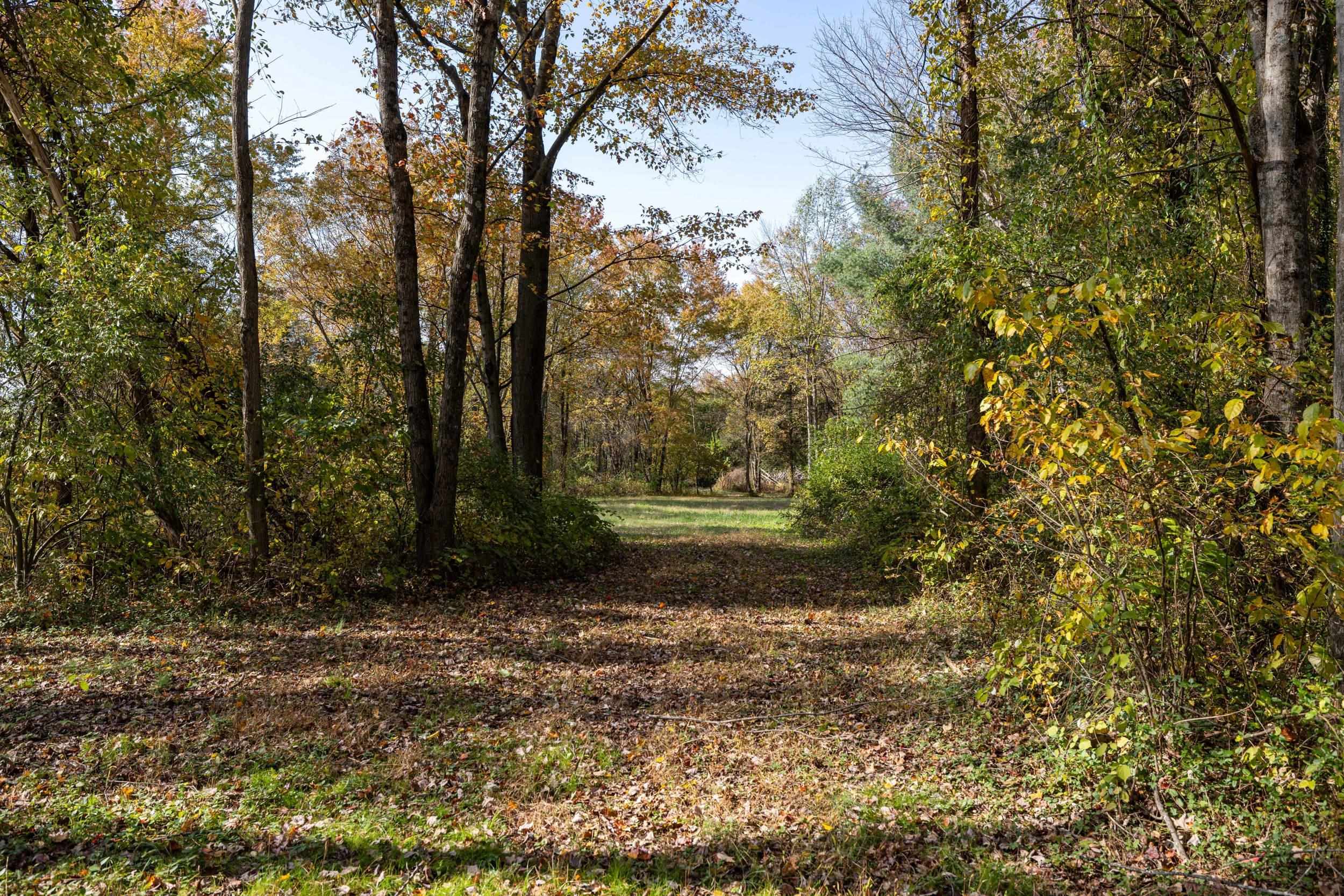 Off DRY RUN RD, LURAY, Virginia 22835, ,Land,Off DRY RUN RD,680428 MLS # 680428