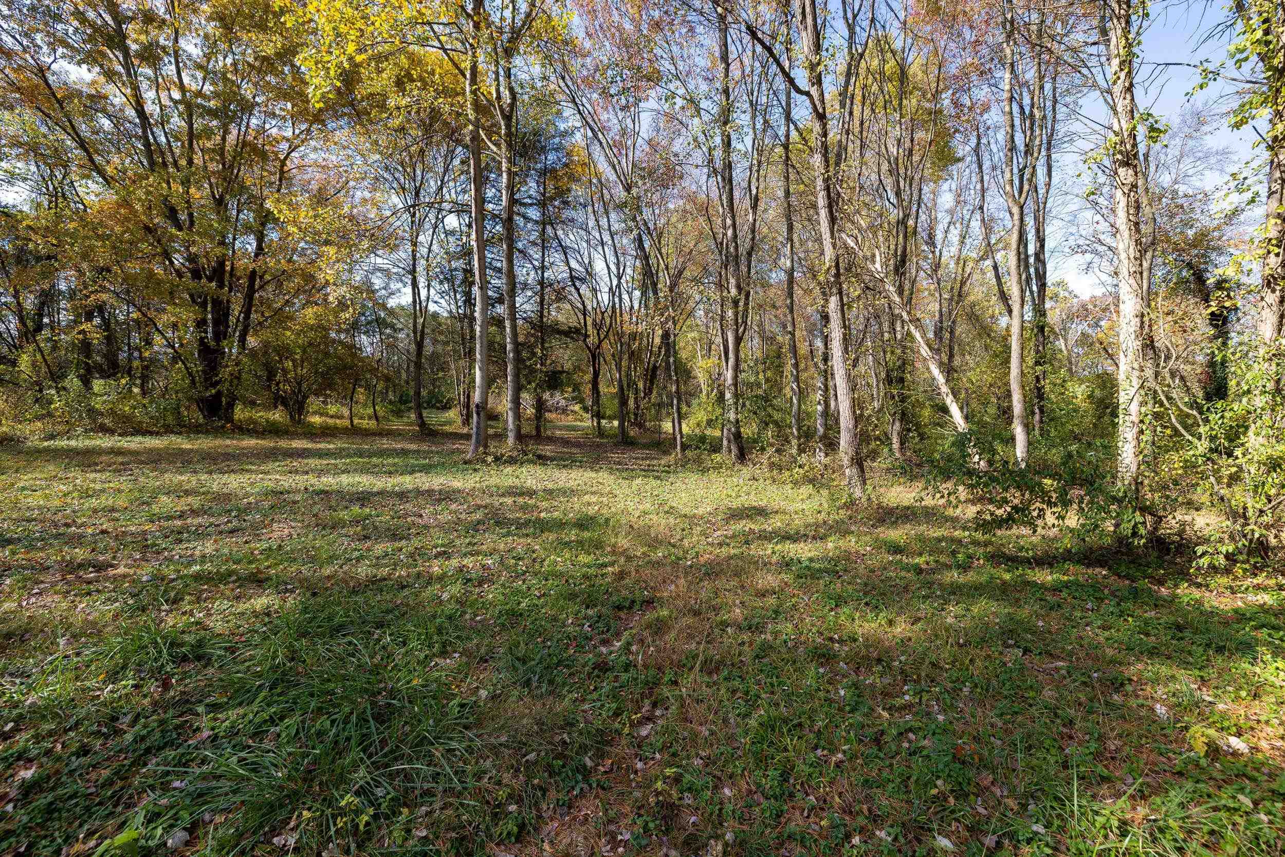 Off DRY RUN RD, LURAY, Virginia 22835, ,Land,Off DRY RUN RD,680428 MLS # 680428