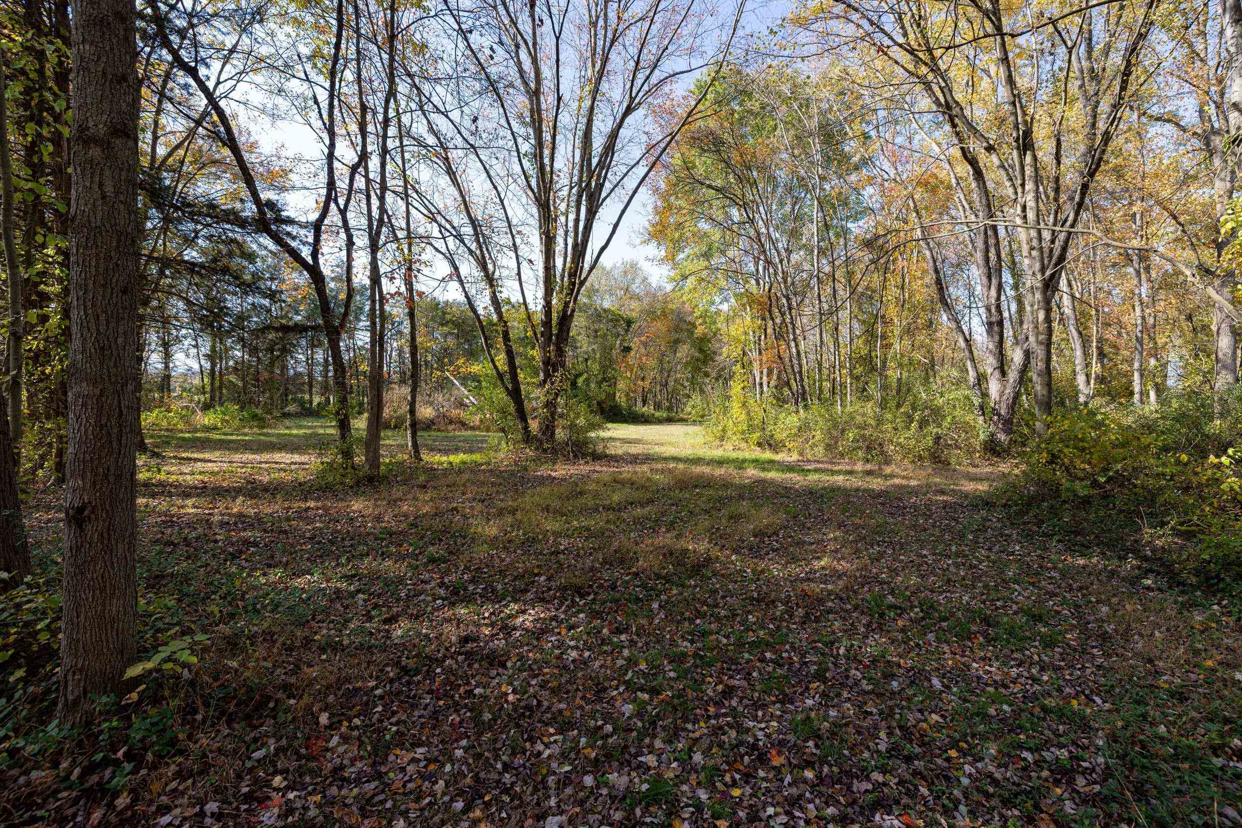 Off DRY RUN RD, LURAY, Virginia 22835, ,Land,Off DRY RUN RD,680428 MLS # 680428