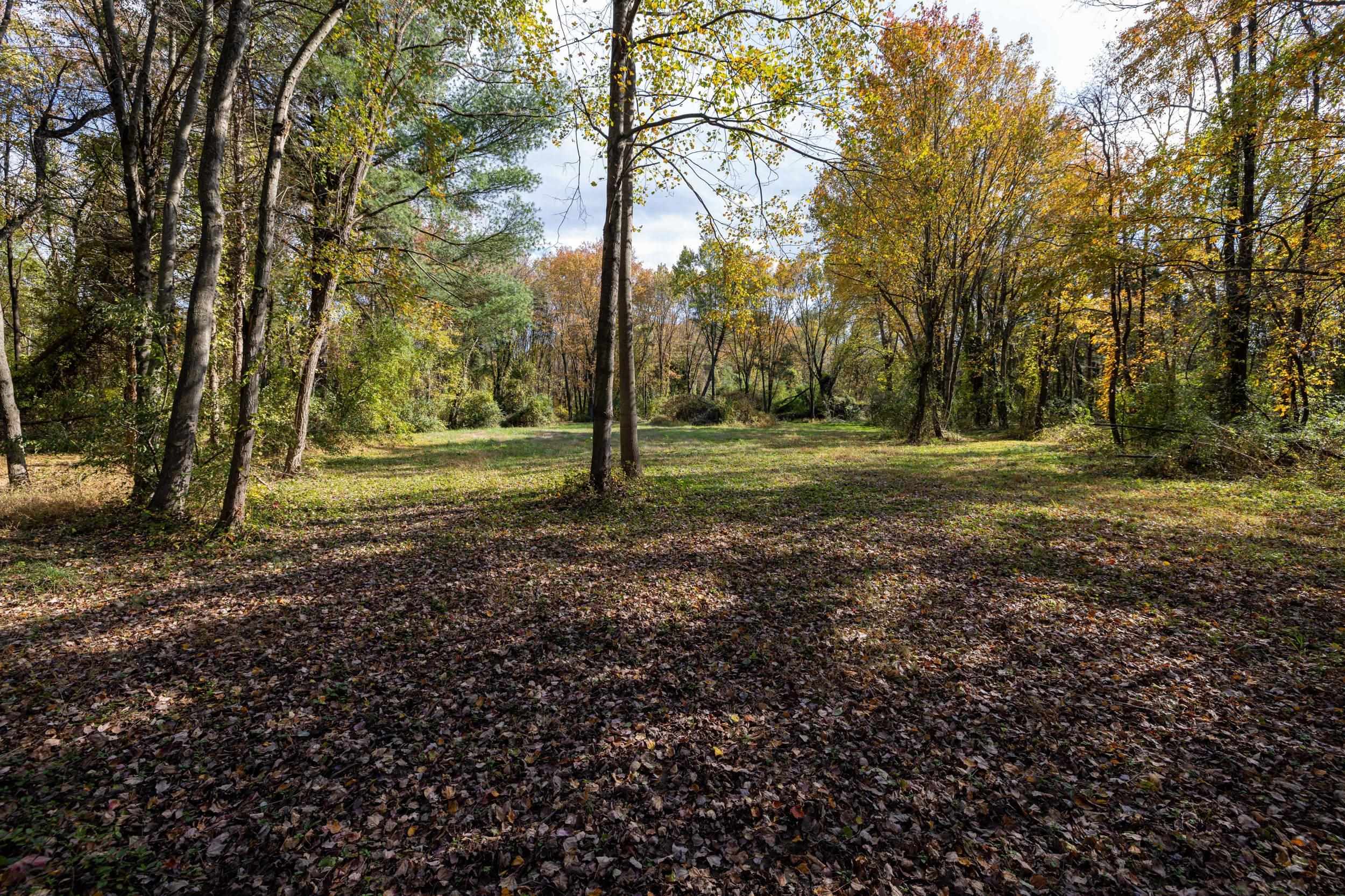 Off DRY RUN RD, LURAY, Virginia 22835, ,Land,Off DRY RUN RD,680428 MLS # 680428