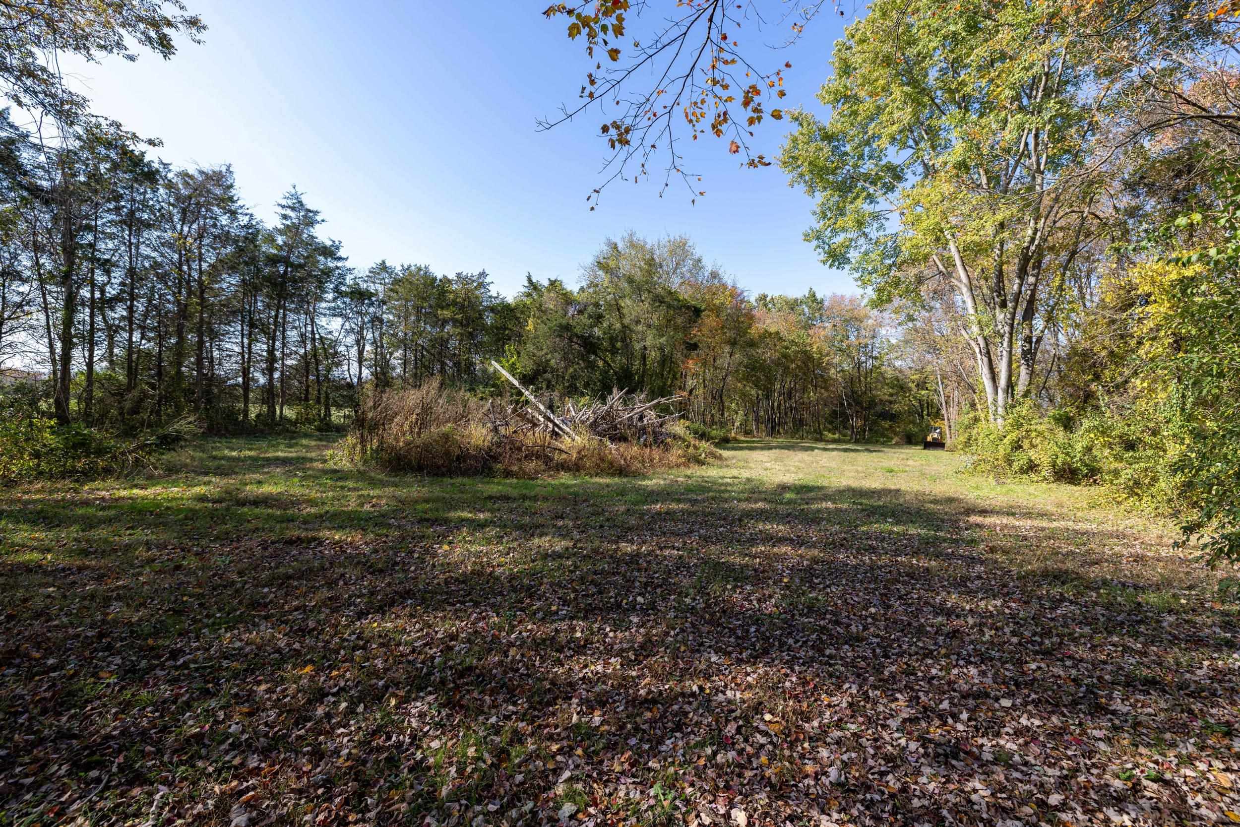 Off DRY RUN RD, LURAY, Virginia 22835, ,Land,Off DRY RUN RD,680428 MLS # 680428