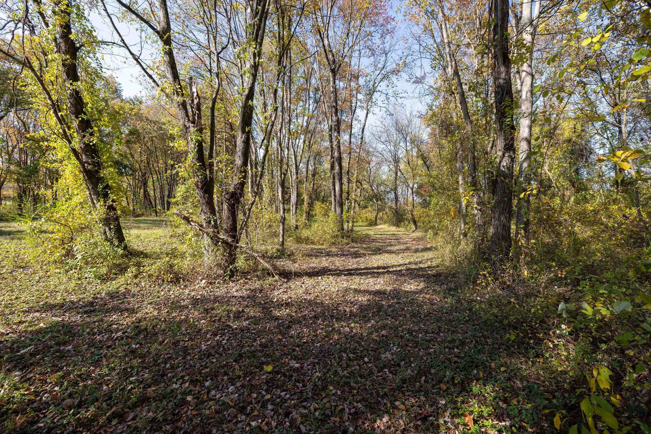 Off DRY RUN RD, LURAY, Virginia 22835, ,Land,Off DRY RUN RD,680428 MLS # 680428