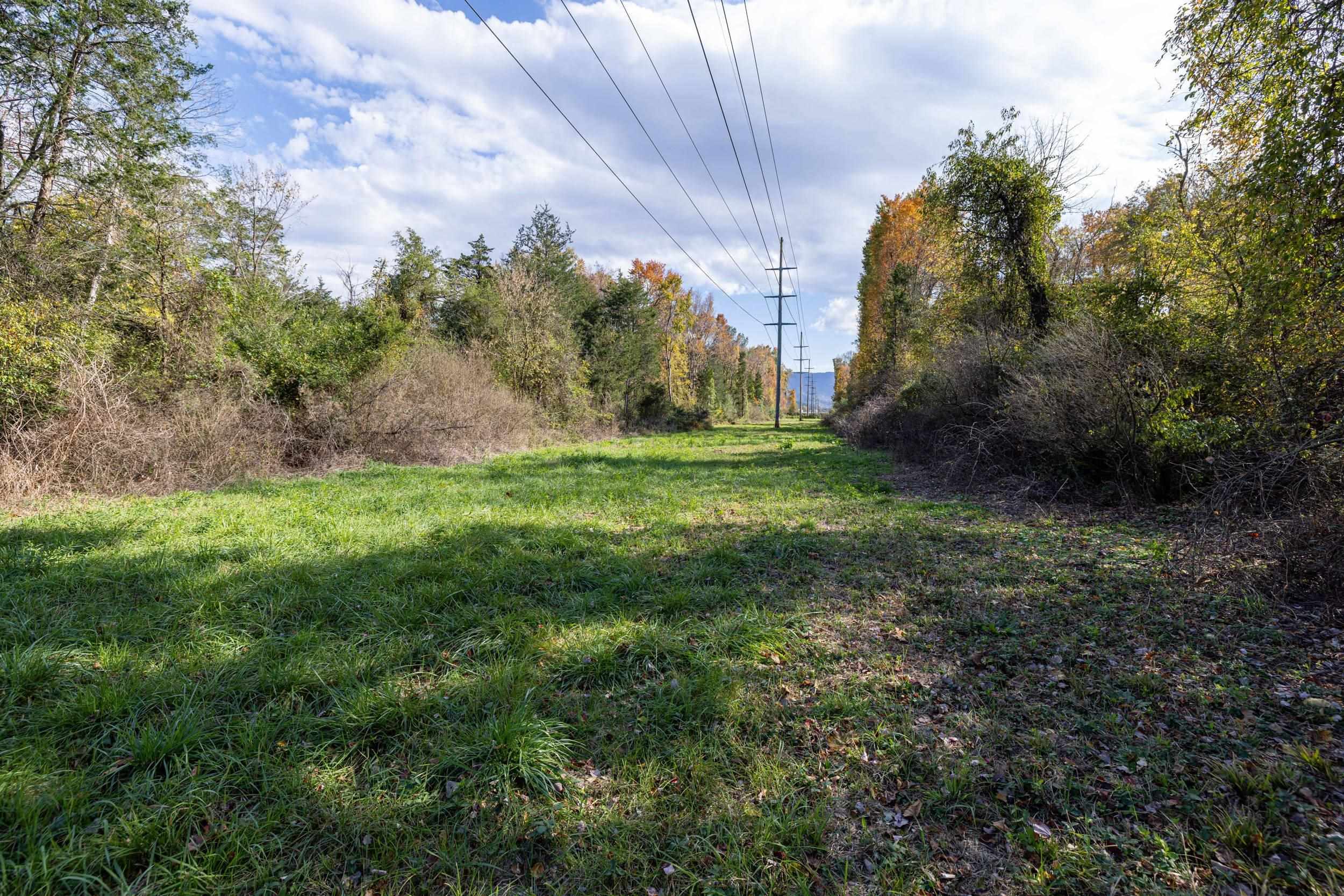 Off DRY RUN RD, LURAY, Virginia 22835, ,Land,Off DRY RUN RD,680428 MLS # 680428