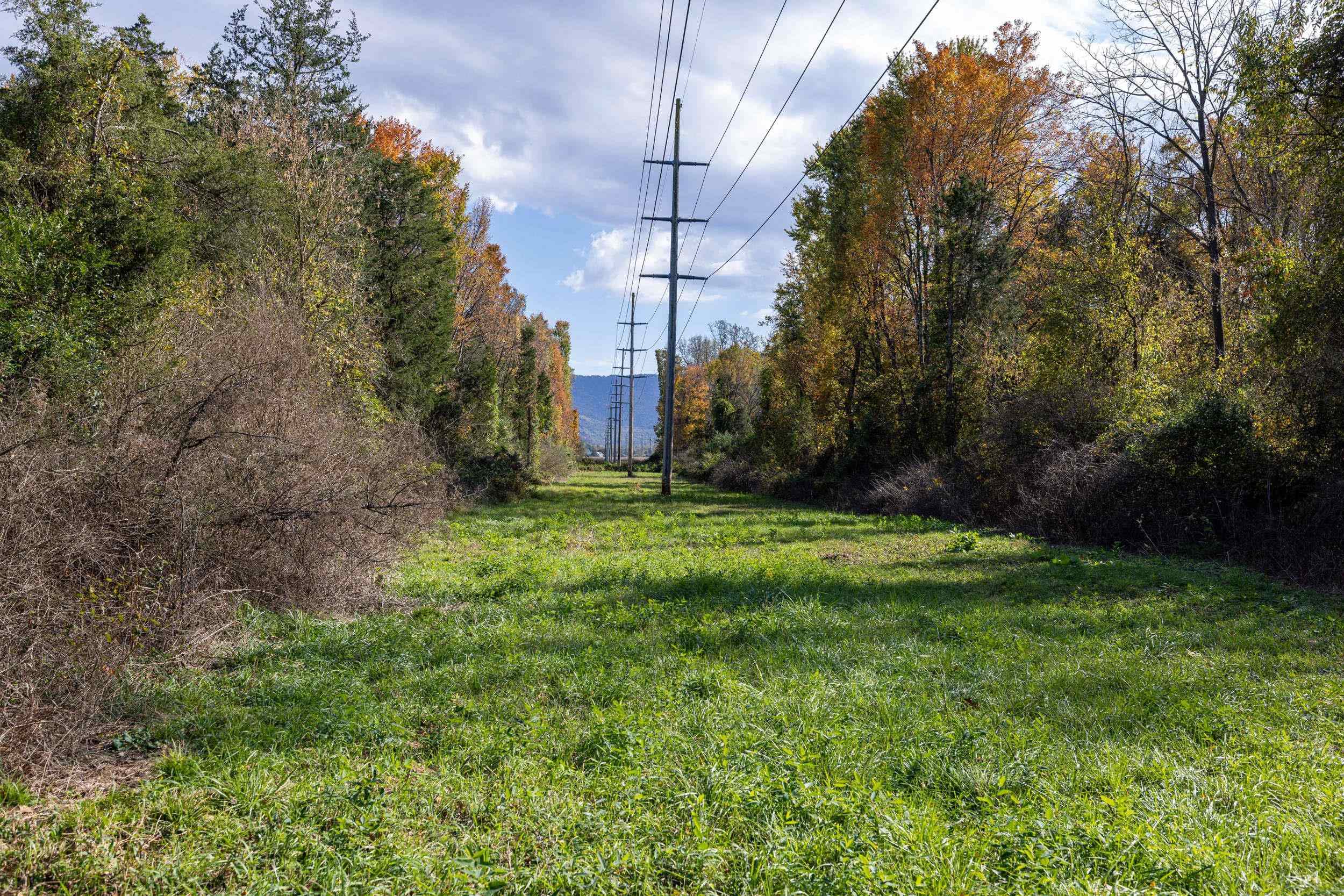 Off DRY RUN RD, LURAY, Virginia 22835, ,Land,Off DRY RUN RD,680428 MLS # 680428