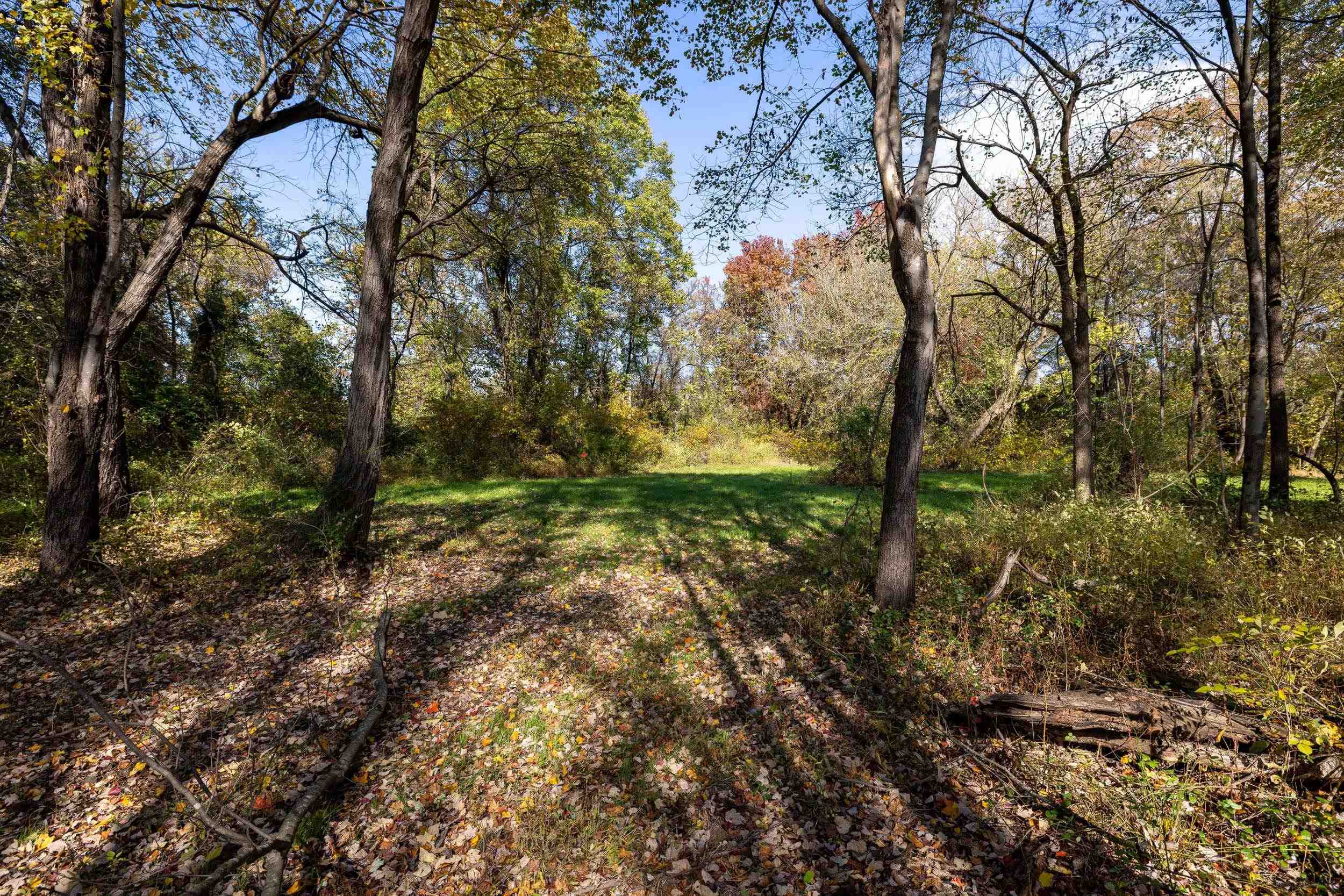Off DRY RUN RD, LURAY, Virginia 22835, ,Land,Off DRY RUN RD,680428 MLS # 680428