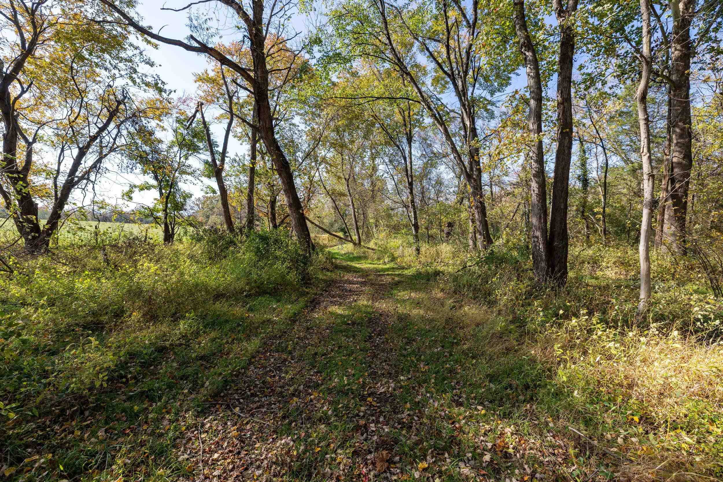 Off DRY RUN RD, LURAY, Virginia 22835, ,Land,Off DRY RUN RD,680428 MLS # 680428