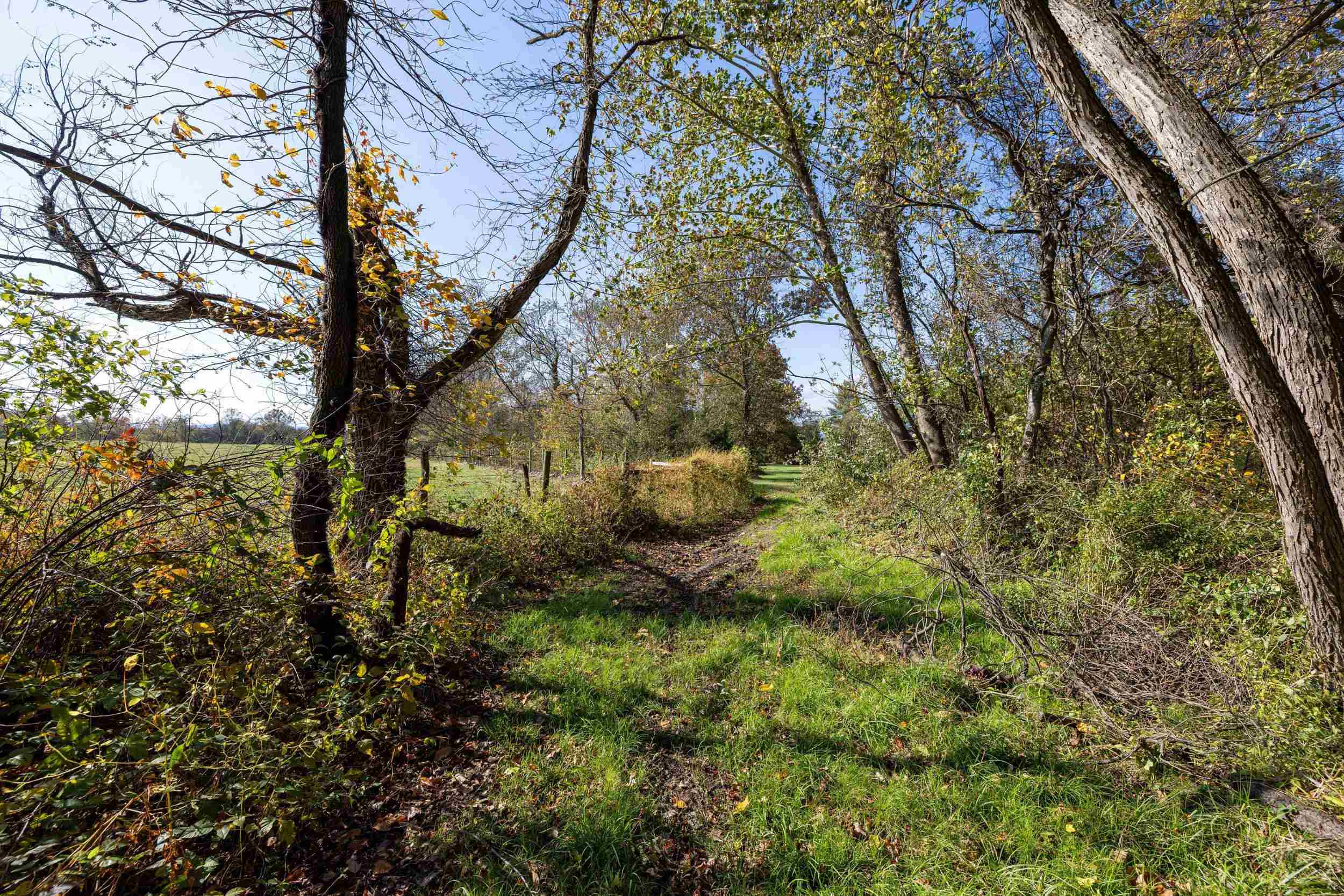Off DRY RUN RD, LURAY, Virginia 22835, ,Land,Off DRY RUN RD,680428 MLS # 680428