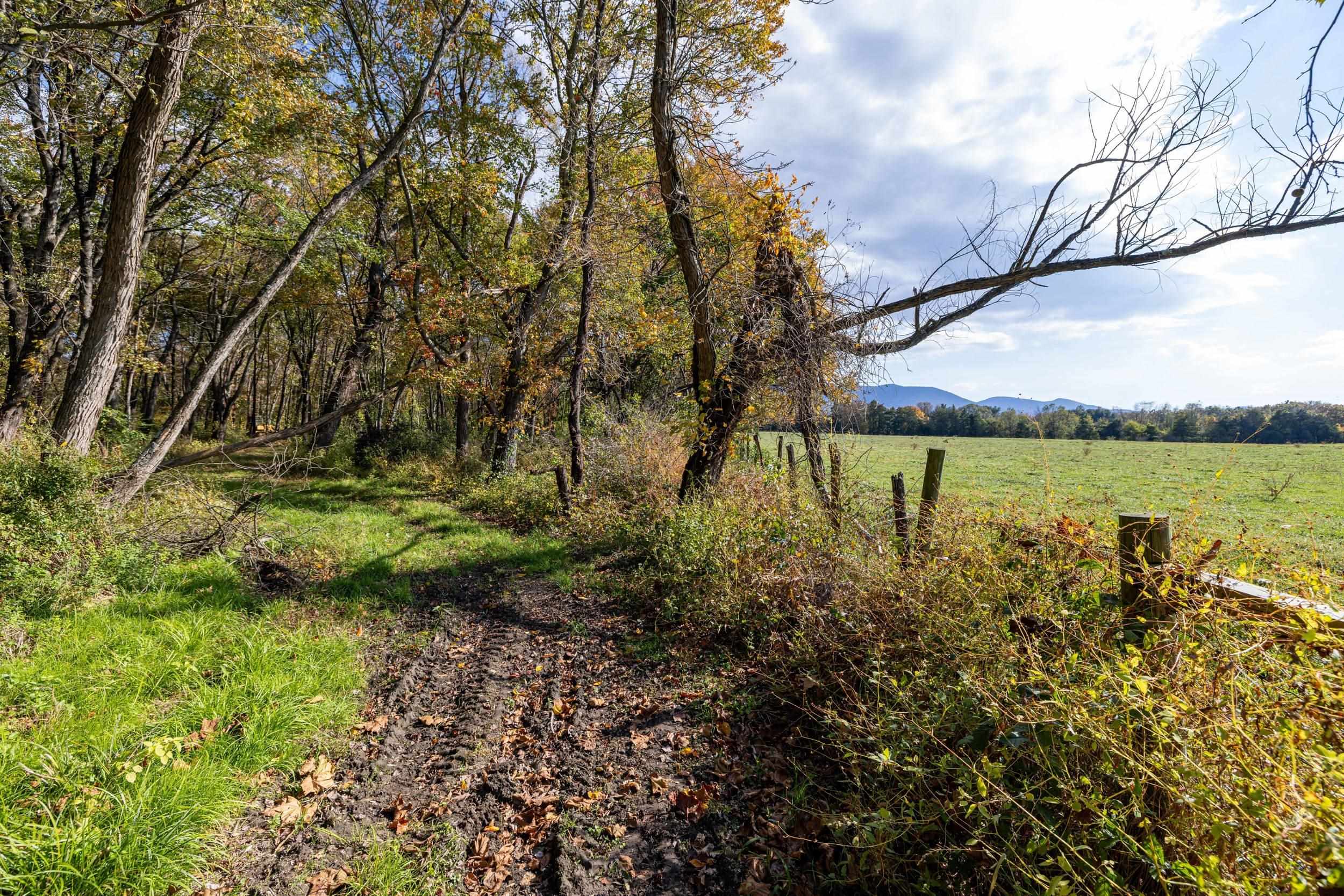 Off DRY RUN RD, LURAY, Virginia 22835, ,Land,Off DRY RUN RD,680428 MLS # 680428