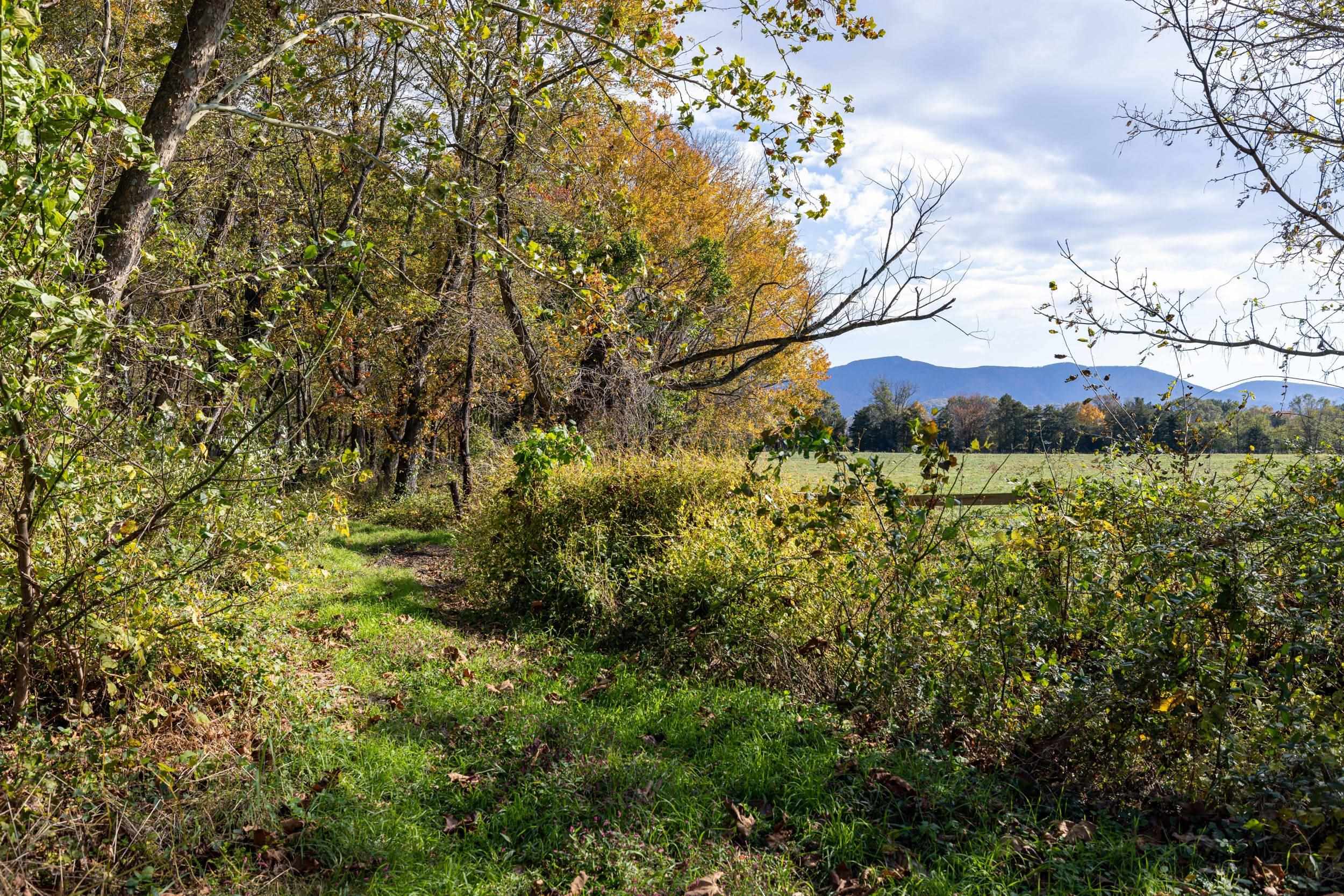 Off DRY RUN RD, LURAY, Virginia 22835, ,Land,Off DRY RUN RD,680428 MLS # 680428