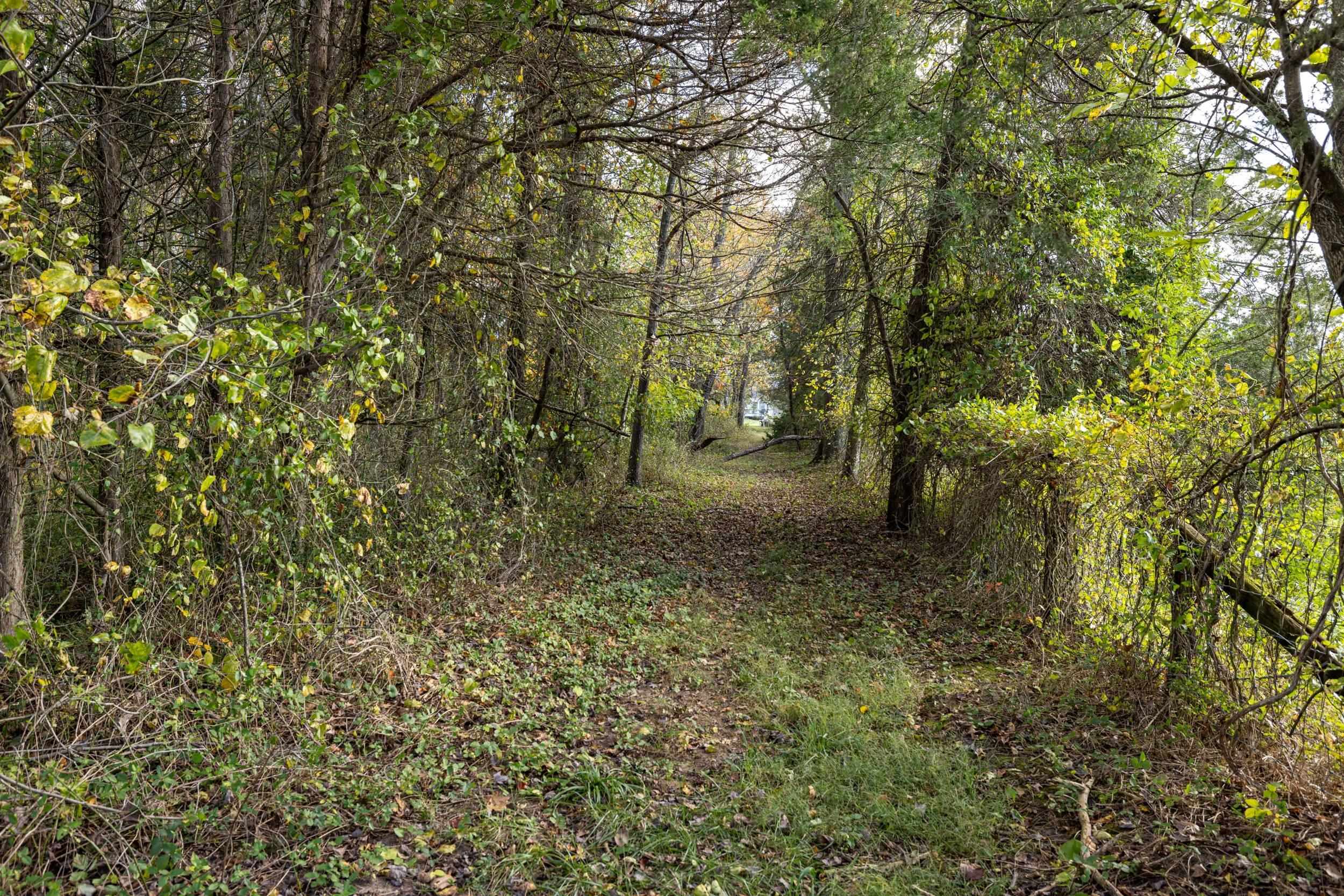 Off DRY RUN RD, LURAY, Virginia 22835, ,Land,Off DRY RUN RD,680428 MLS # 680428