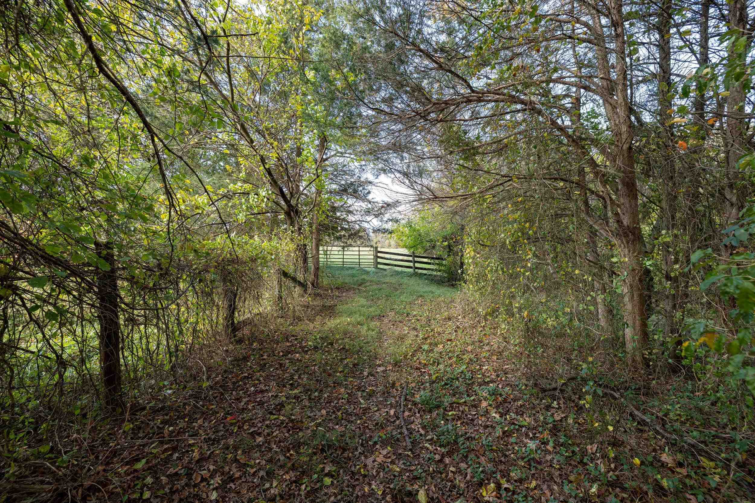 Off DRY RUN RD, LURAY, Virginia 22835, ,Land,Off DRY RUN RD,680428 MLS # 680428