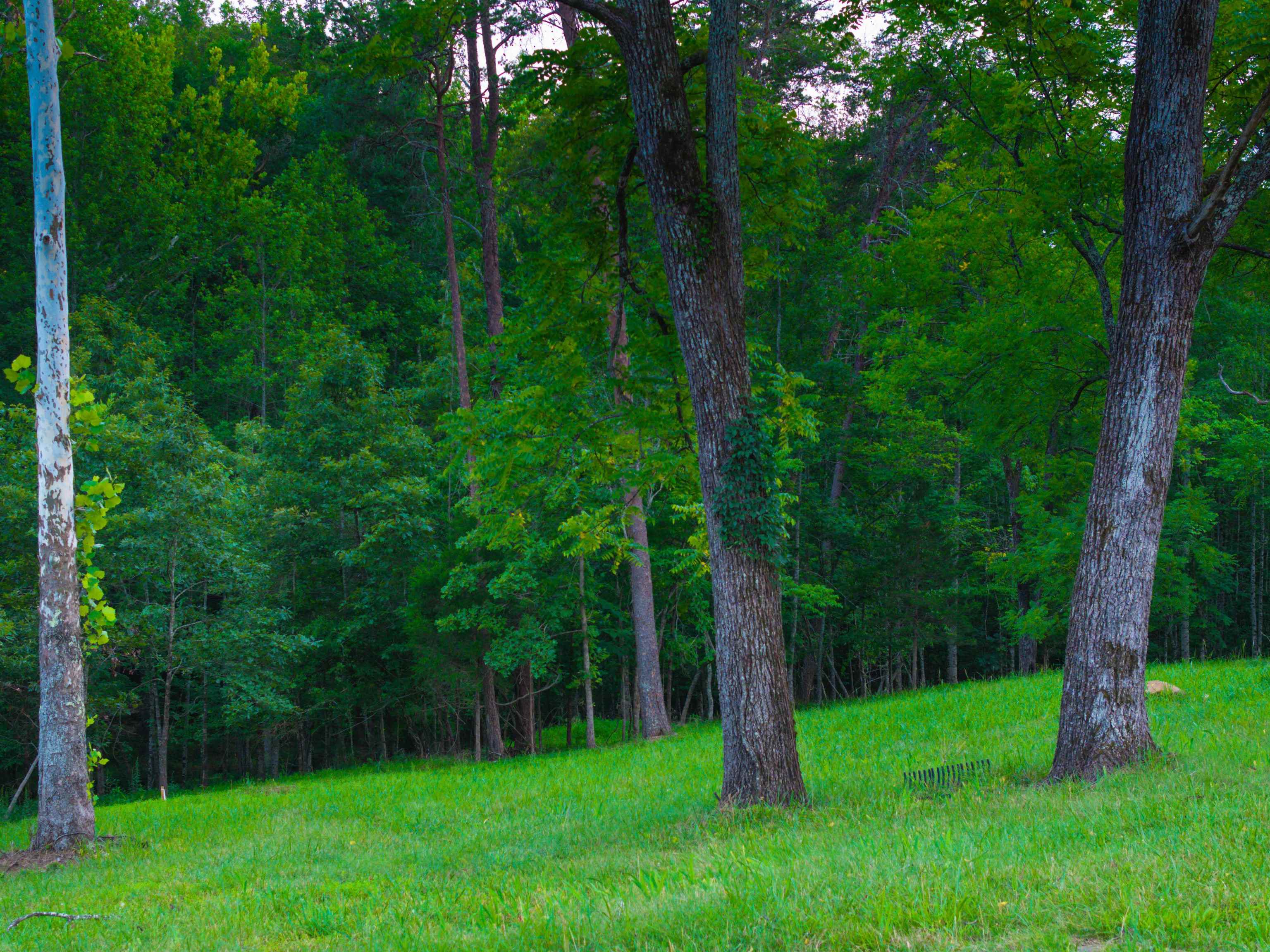 Lot 6 GILBERT STATION RD, BARBOURSVILLE, Virginia 22923, ,Land,Lot 6 GILBERT STATION RD,680432 MLS # 680432 Lot 6 GILBERT STATION RD, BARBOURSVILLE, Virginia 22923, ,Land,Lot 6 GILBERT STATION RD,680432 MLS # 680432