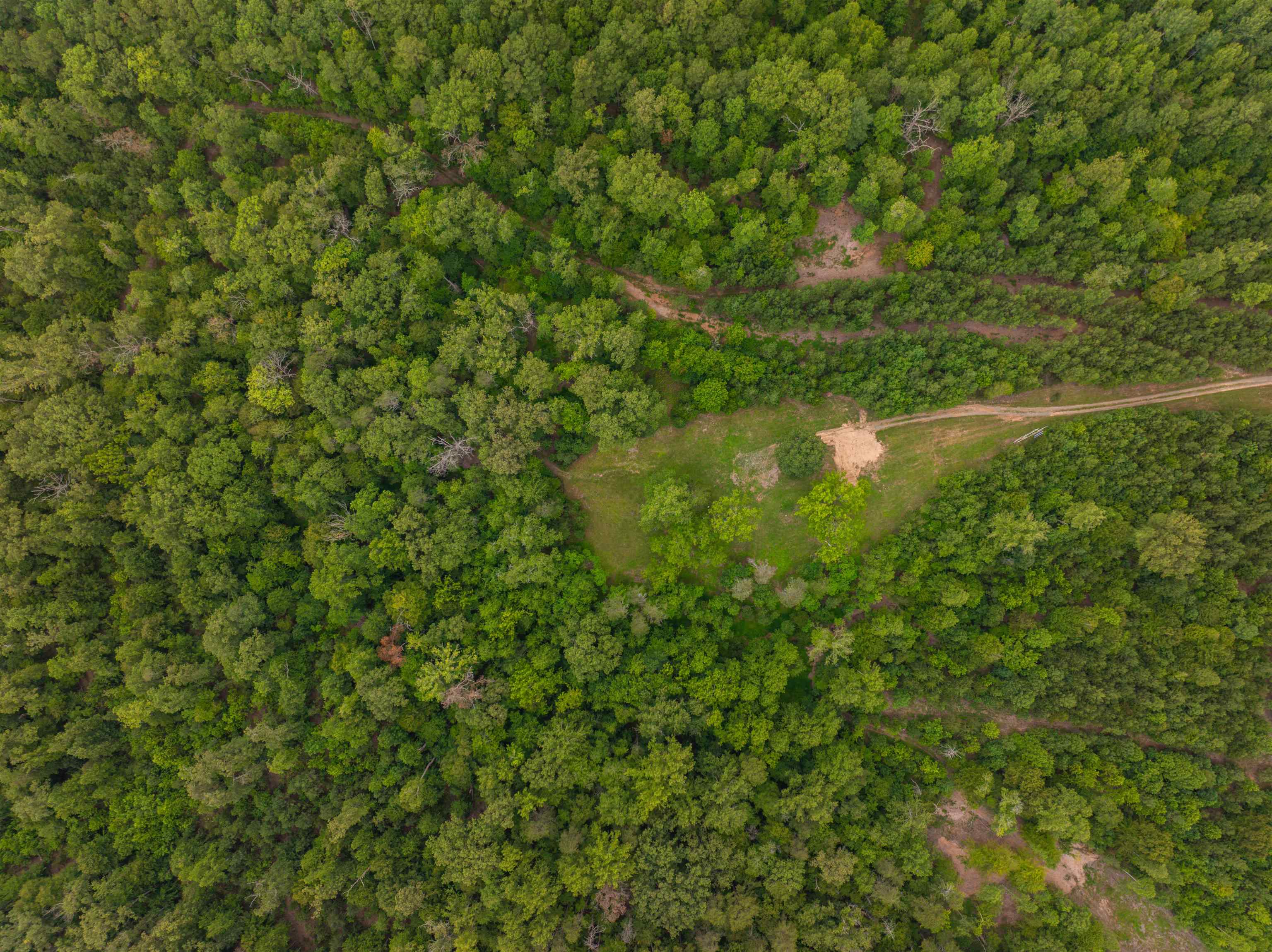 Lot 6 GILBERT STATION RD, BARBOURSVILLE, Virginia 22923, ,Land,Lot 6 GILBERT STATION RD,680432 MLS # 680432 Lot 6 GILBERT STATION RD, BARBOURSVILLE, Virginia 22923, ,Land,Lot 6 GILBERT STATION RD,680432 MLS # 680432