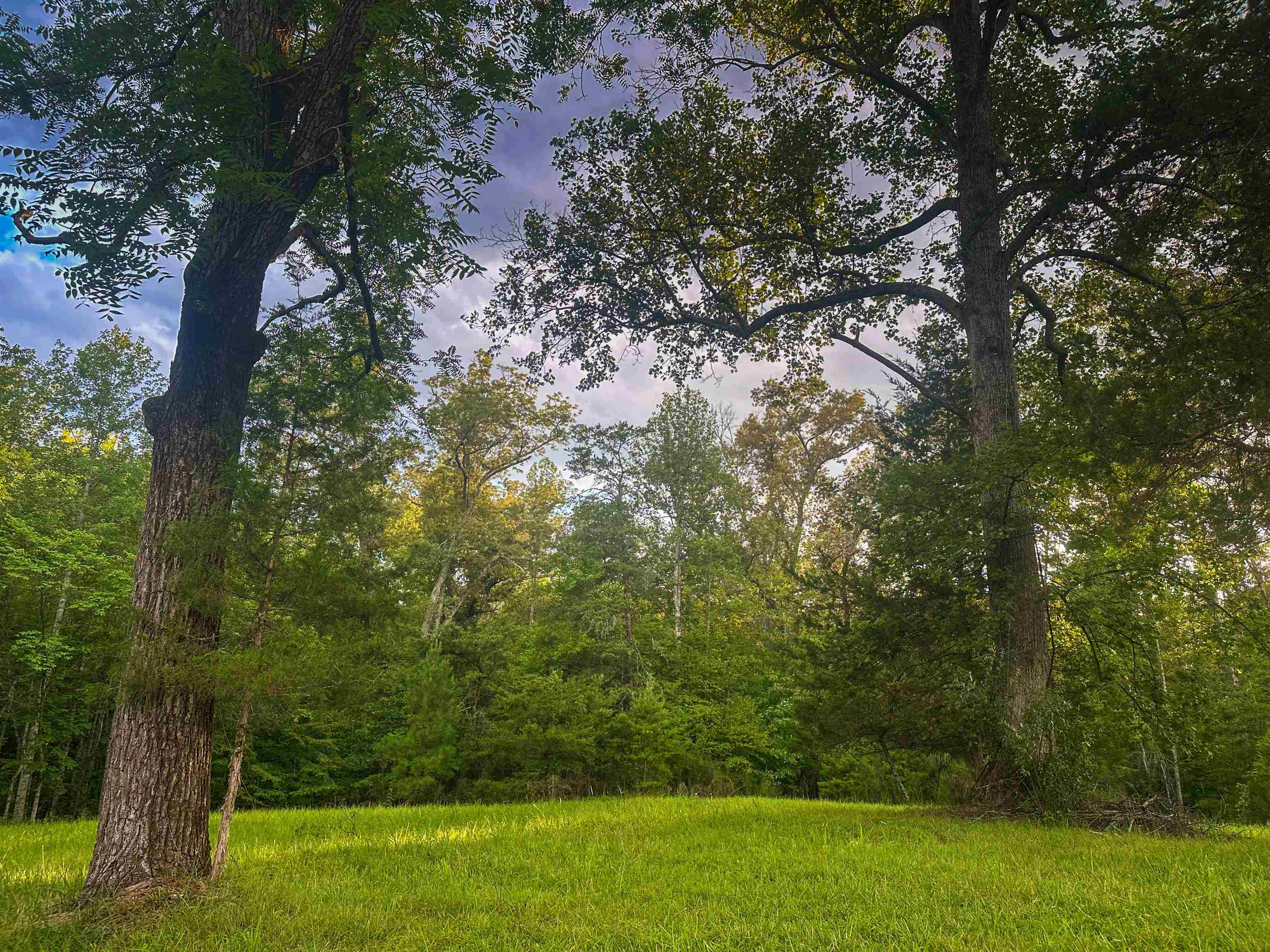 Lot 6 GILBERT STATION RD, BARBOURSVILLE, Virginia 22923, ,Land,Lot 6 GILBERT STATION RD,680432 MLS # 680432 Lot 6 GILBERT STATION RD, BARBOURSVILLE, Virginia 22923, ,Land,Lot 6 GILBERT STATION RD,680432 MLS # 680432