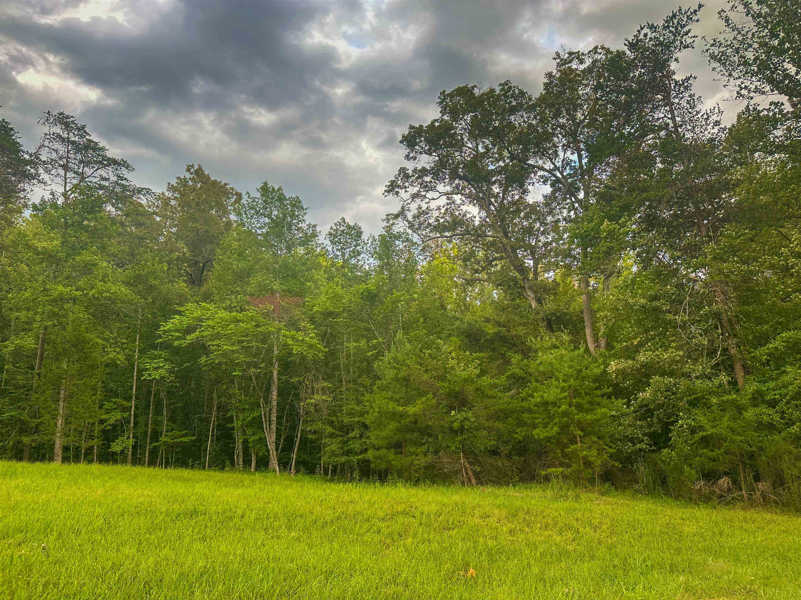 Lot 6 GILBERT STATION RD, BARBOURSVILLE, Virginia 22923, ,Land,Lot 6 GILBERT STATION RD,680432 MLS # 680432 Lot 6 GILBERT STATION RD, BARBOURSVILLE, Virginia 22923, ,Land,Lot 6 GILBERT STATION RD,680432 MLS # 680432