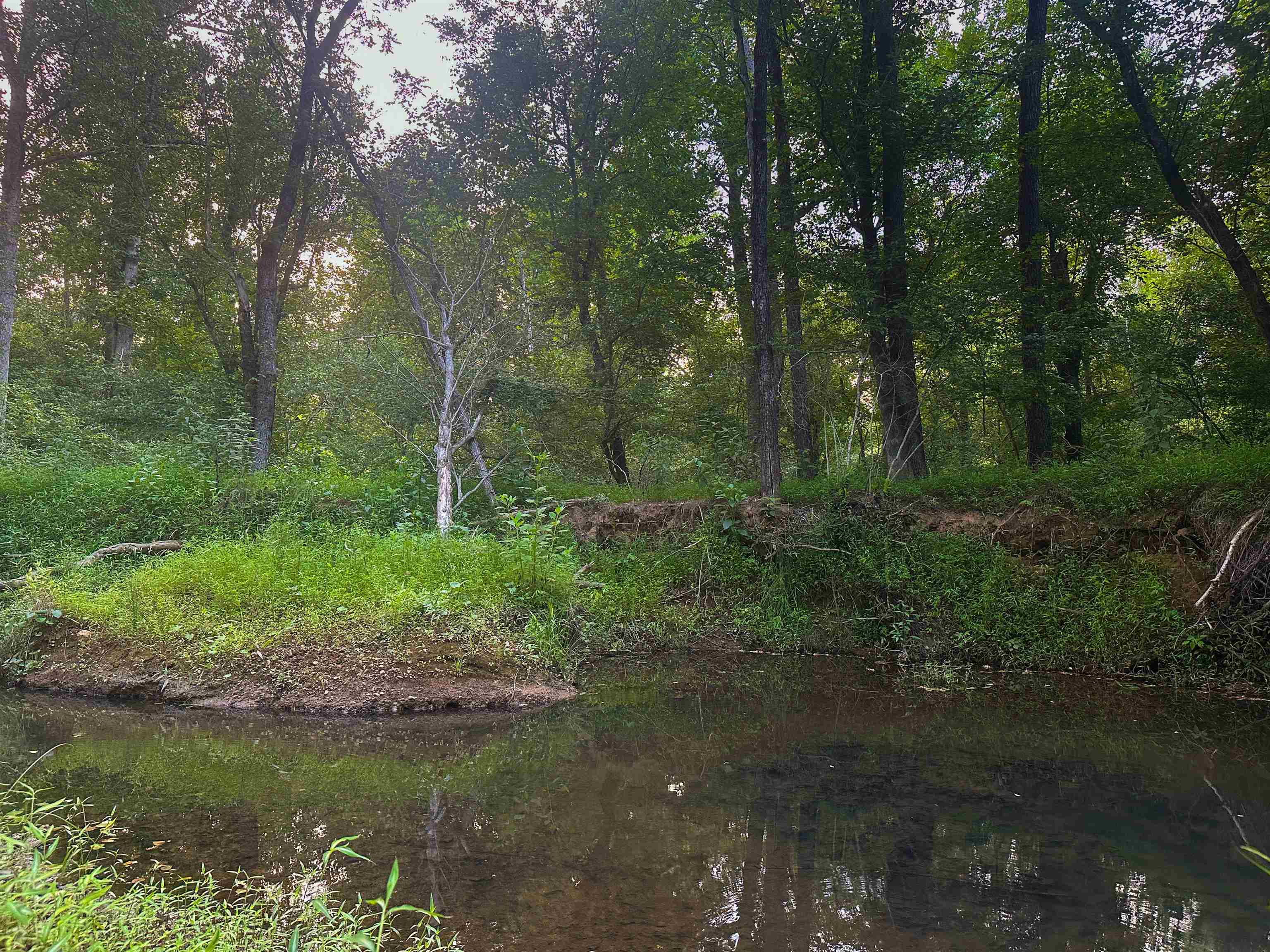 Lot 6 GILBERT STATION RD, BARBOURSVILLE, Virginia 22923, ,Land,Lot 6 GILBERT STATION RD,680432 MLS # 680432 Lot 6 GILBERT STATION RD, BARBOURSVILLE, Virginia 22923, ,Land,Lot 6 GILBERT STATION RD,680432 MLS # 680432